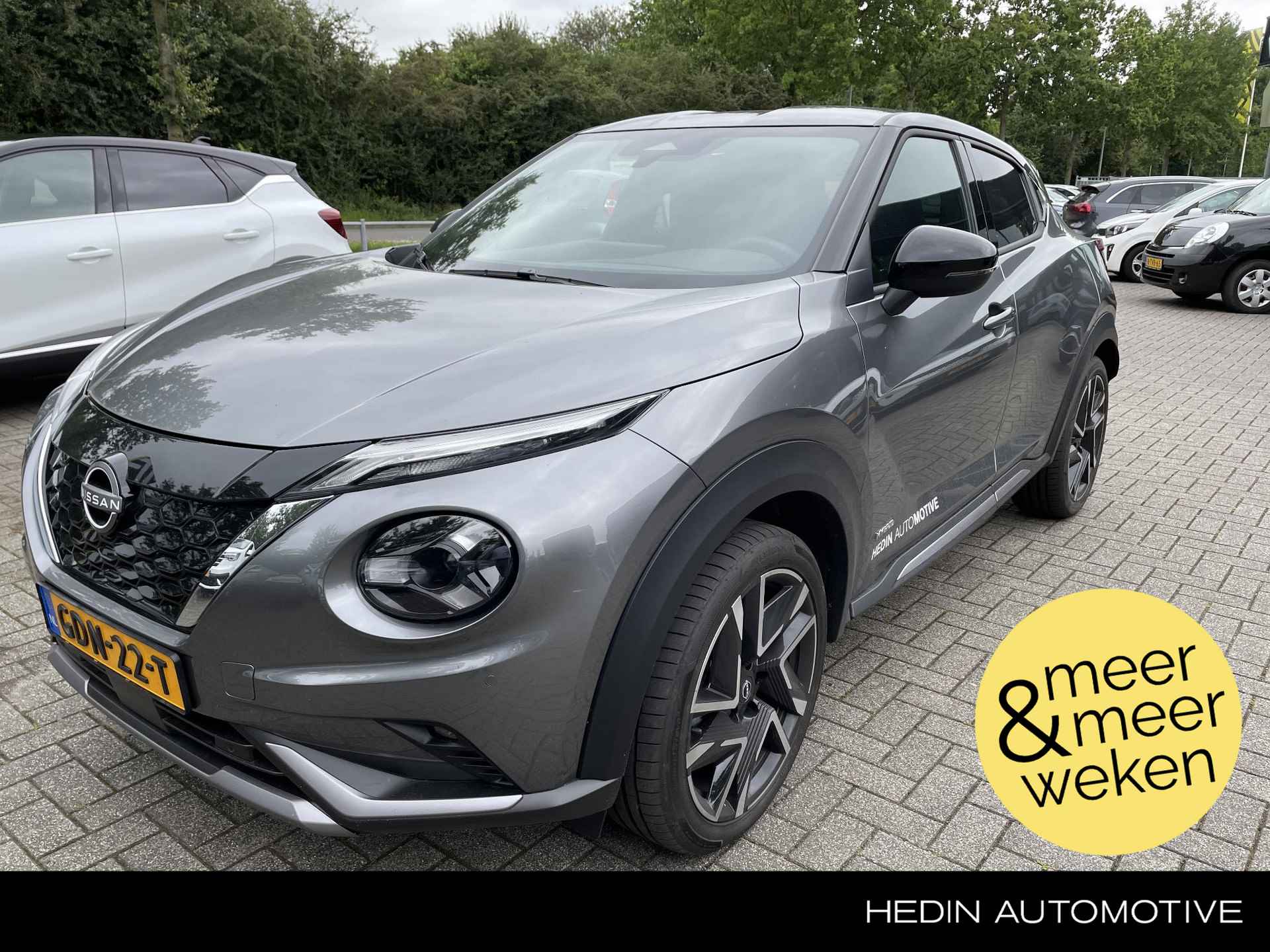 Nissan Juke BOVAG 40-Puntencheck