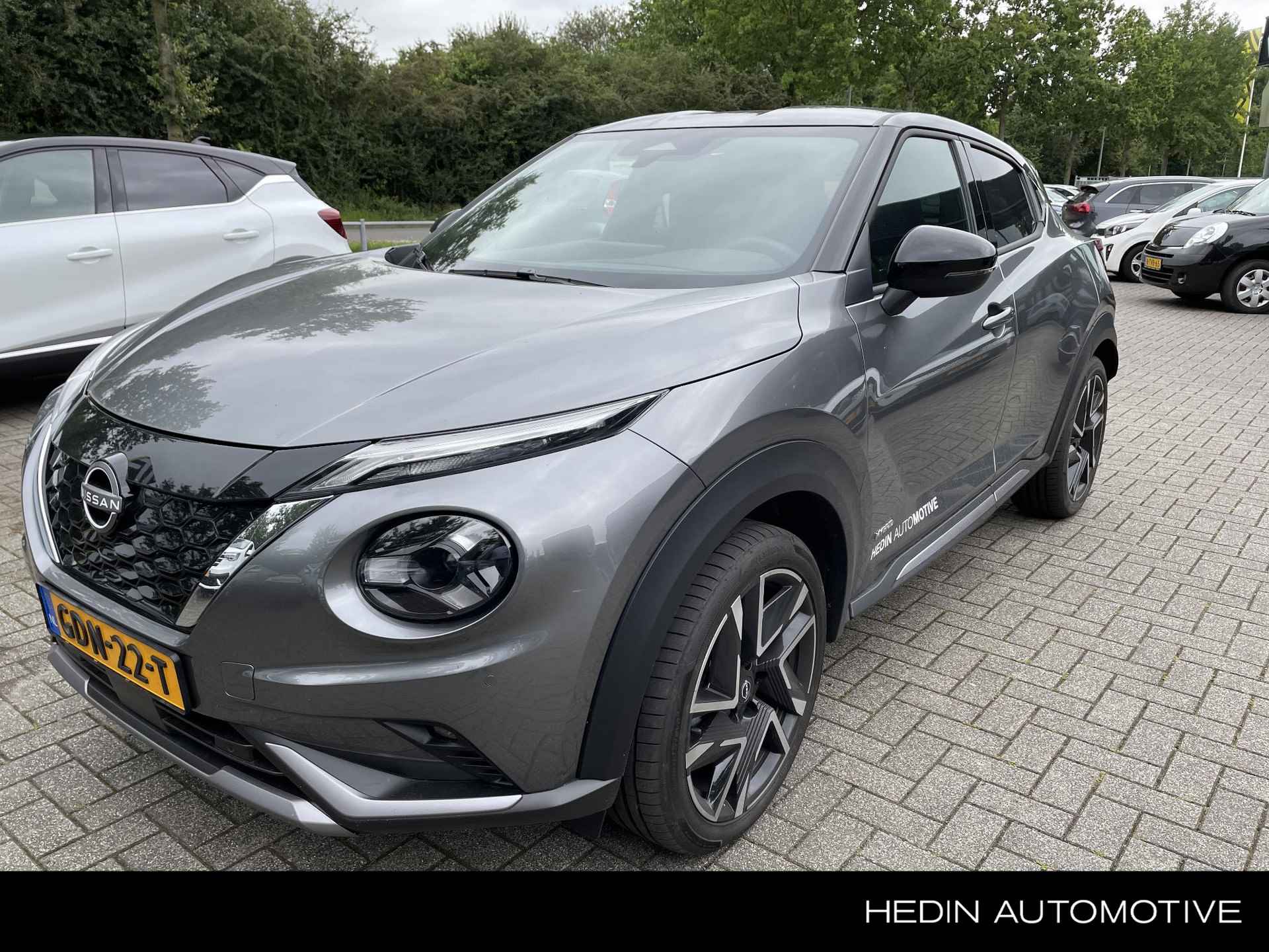 Nissan Juke BOVAG 40-Puntencheck