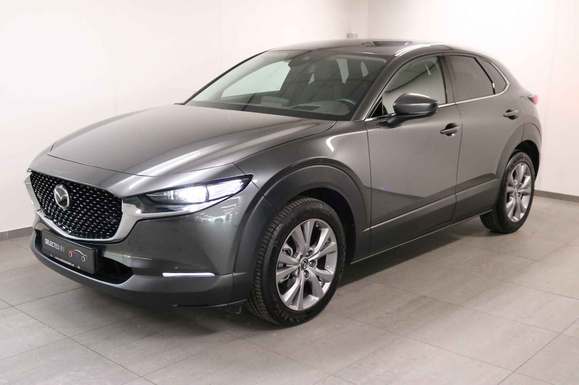 Mazda CX-30 BOVAG 40-Puntencheck