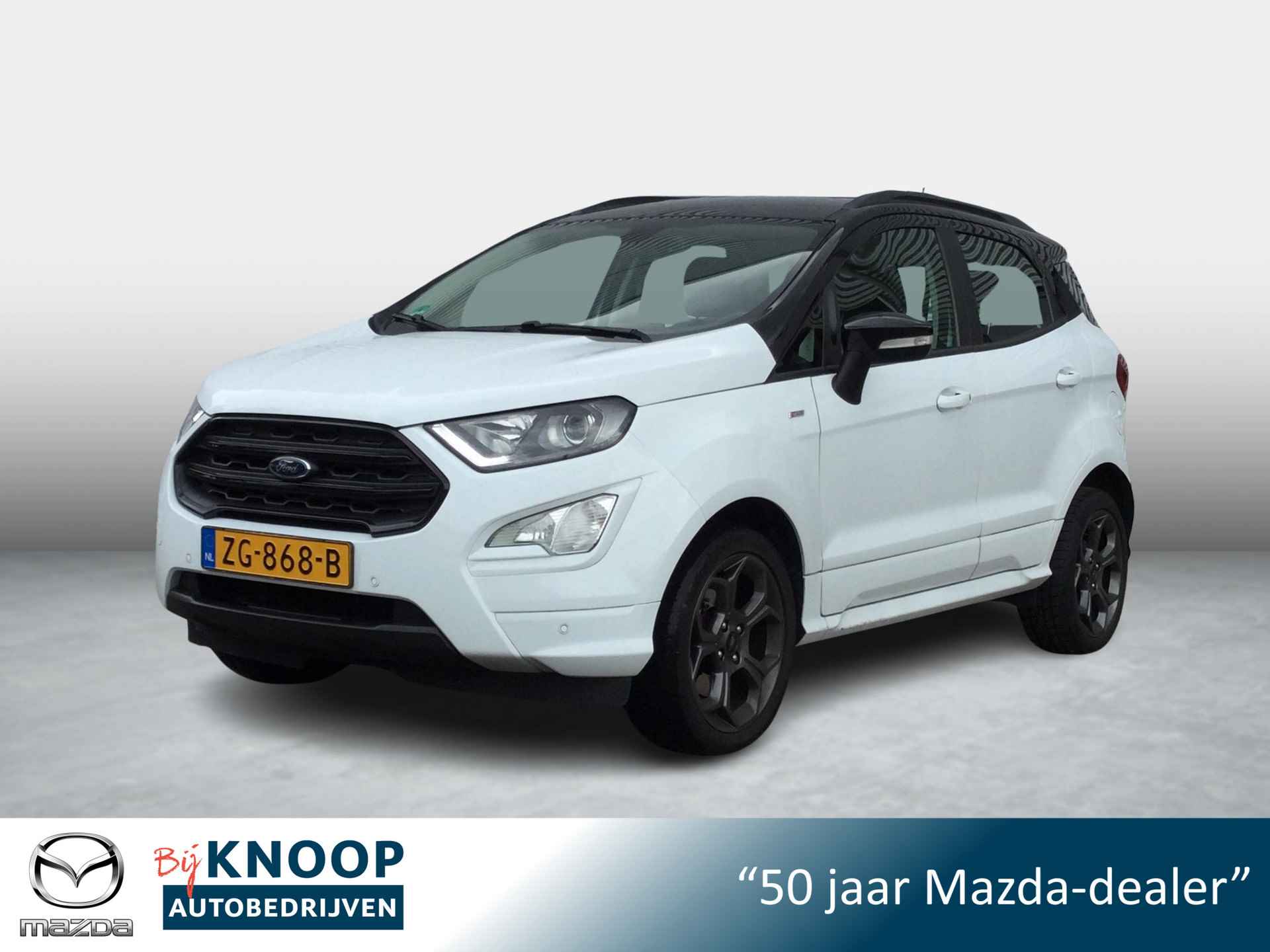 Ford EcoSport BOVAG 40-Puntencheck