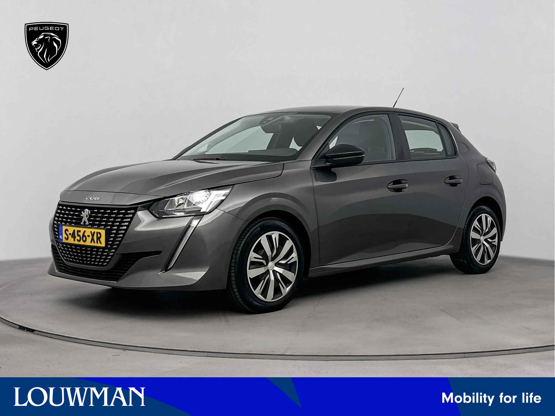 Peugeot 208 BOVAG 40-Puntencheck