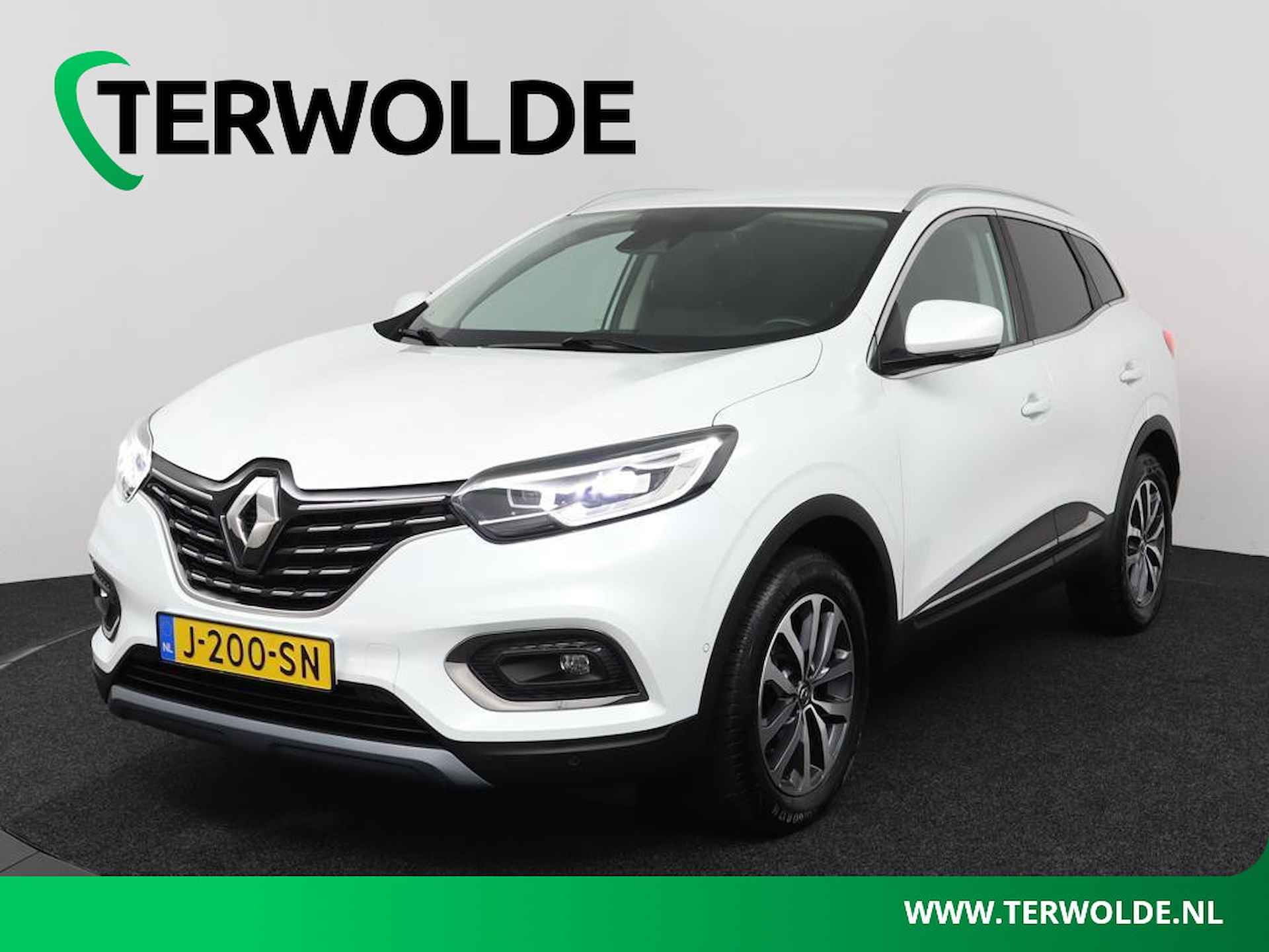 Renault Kadjar BOVAG 40-Puntencheck