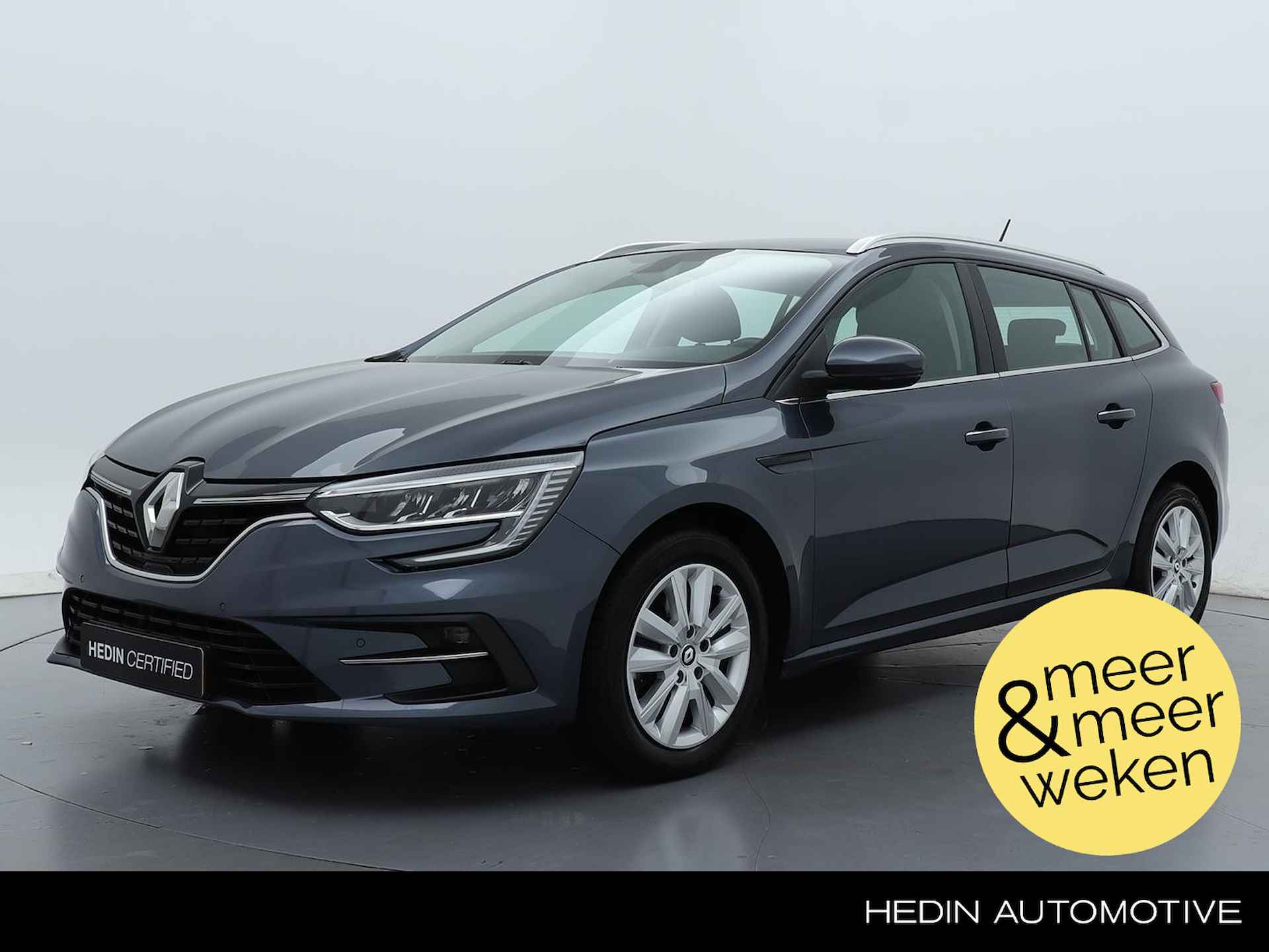 Renault Megane BOVAG 40-Puntencheck