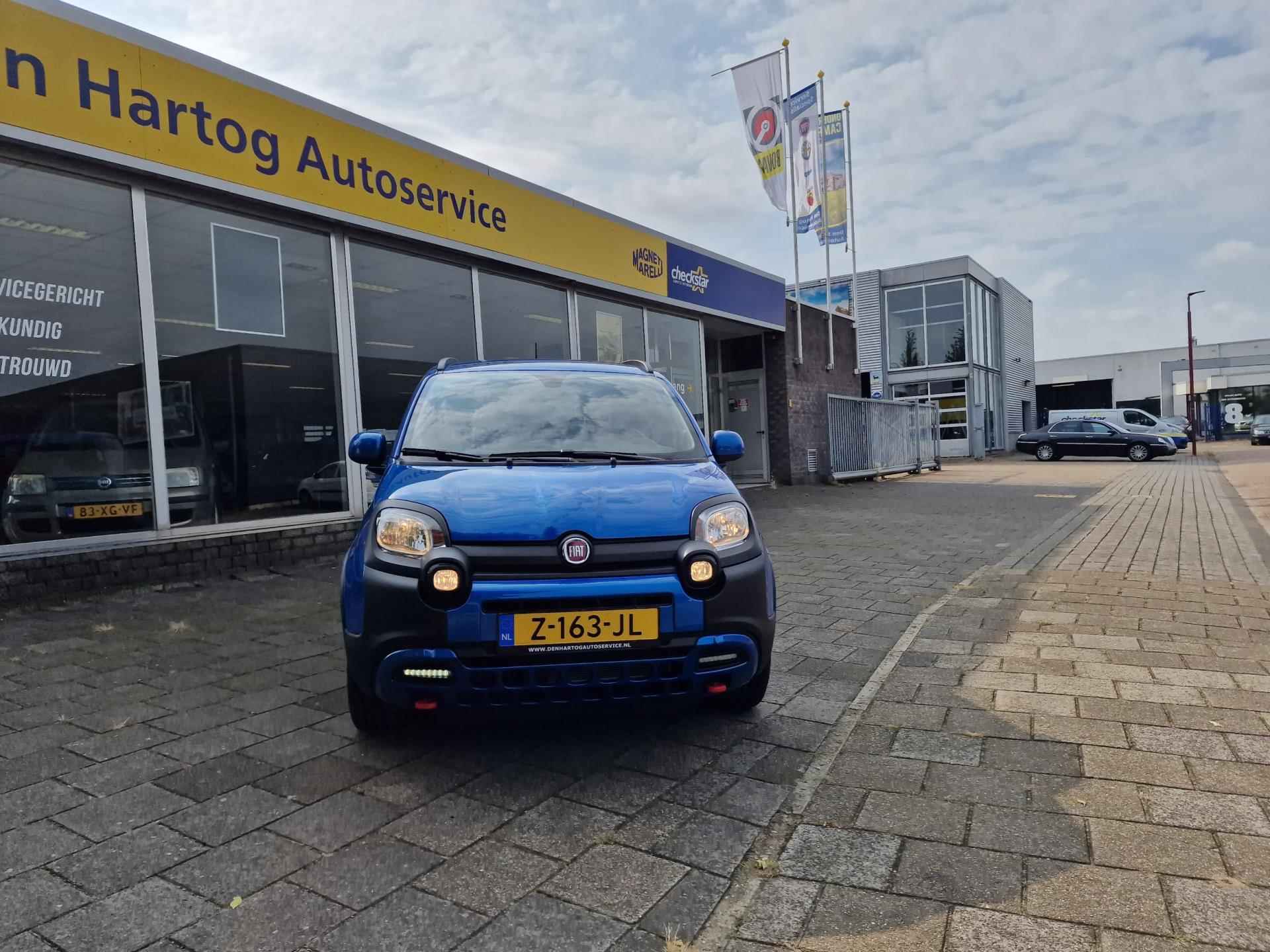 Fiat Panda 1.0 Hybrid Cross - 14/16