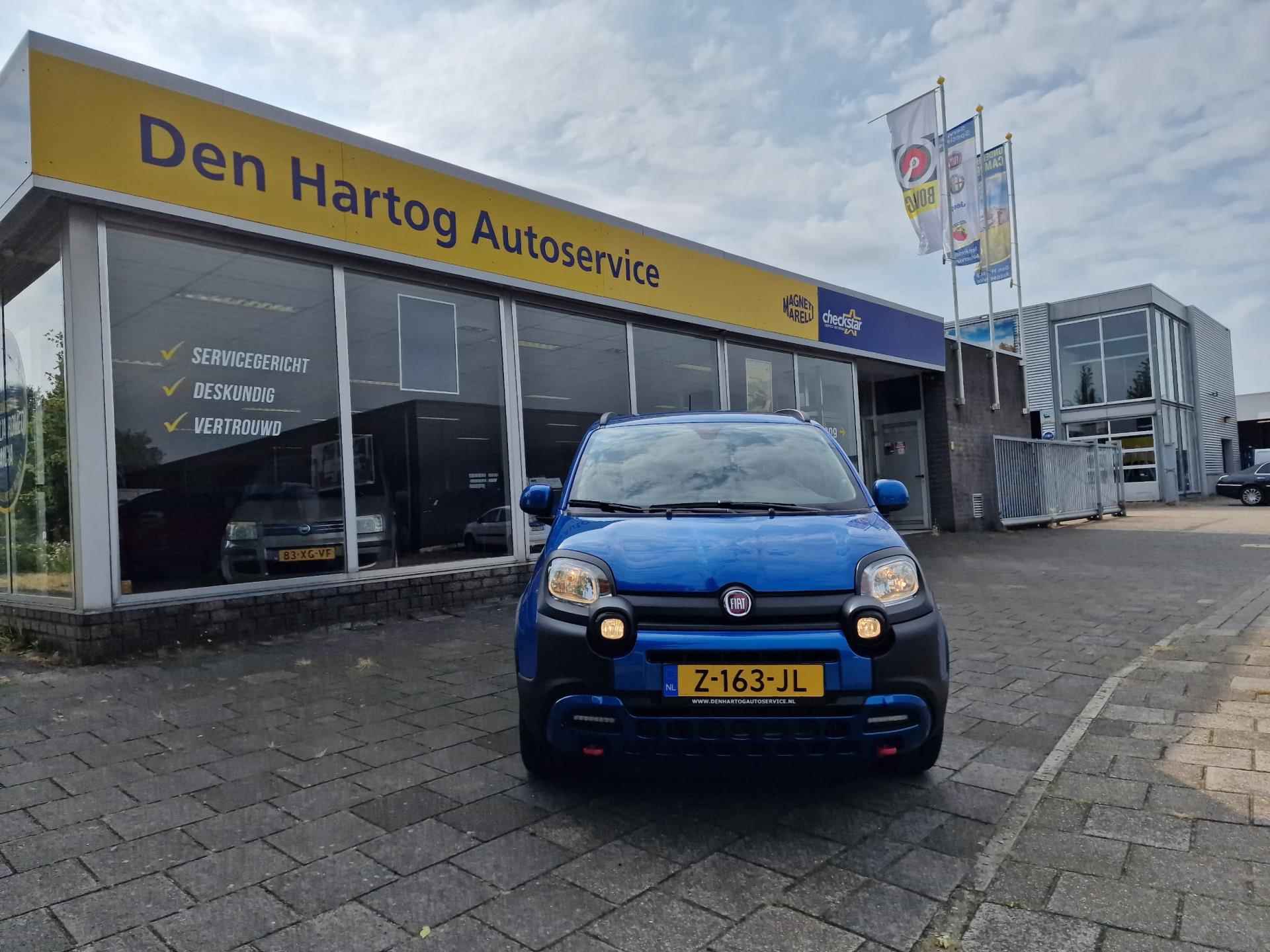 Fiat Panda 1.0 Hybrid Cross - 15/16