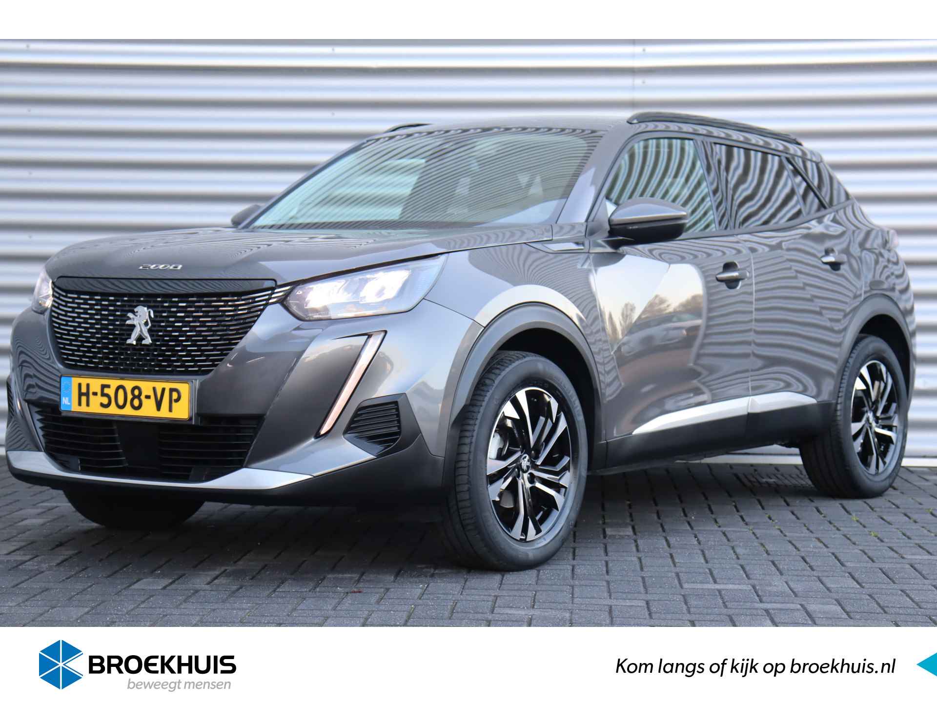 Peugeot 2008 BOVAG 40-Puntencheck