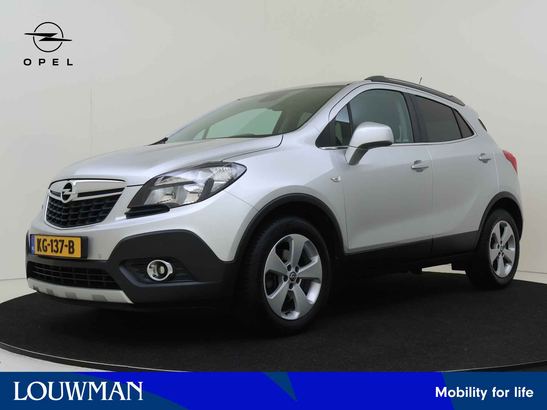 Opel Mokka BOVAG 40-Puntencheck