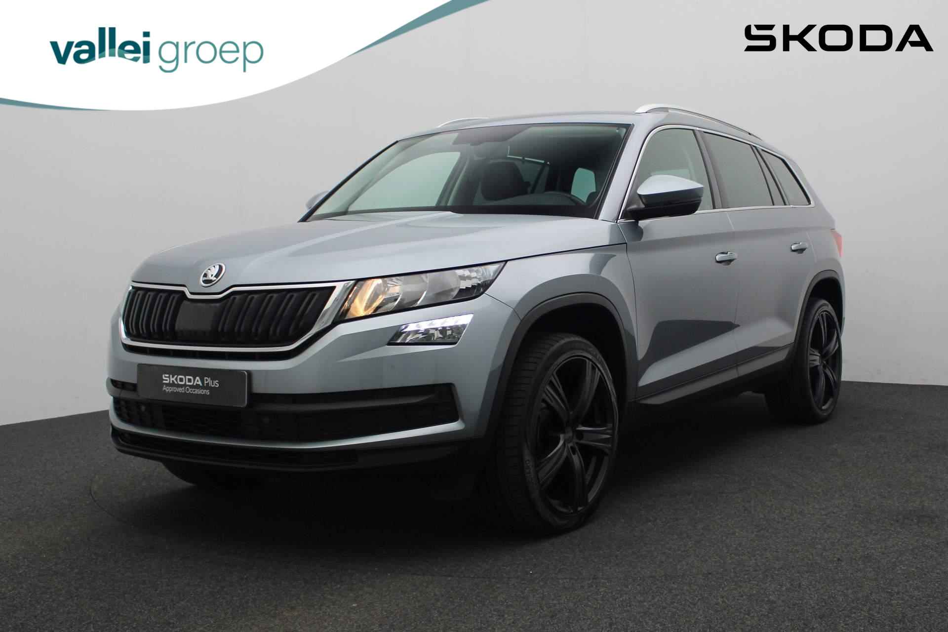 Škoda Kodiaq BOVAG 40-Puntencheck