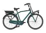 GAZELLE HeavyDutyNL C7+ HMB Heren Thyme Green Glans 64cm 2024