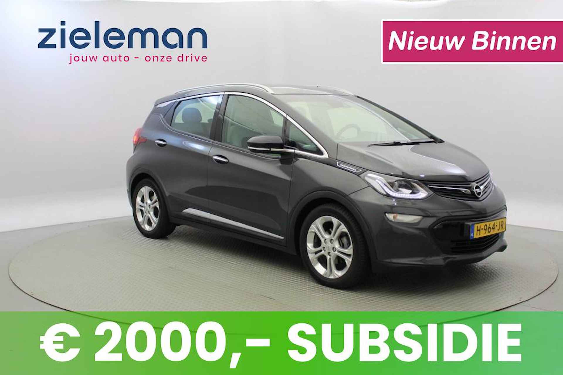 Opel Ampera-E BOVAG 40-Puntencheck