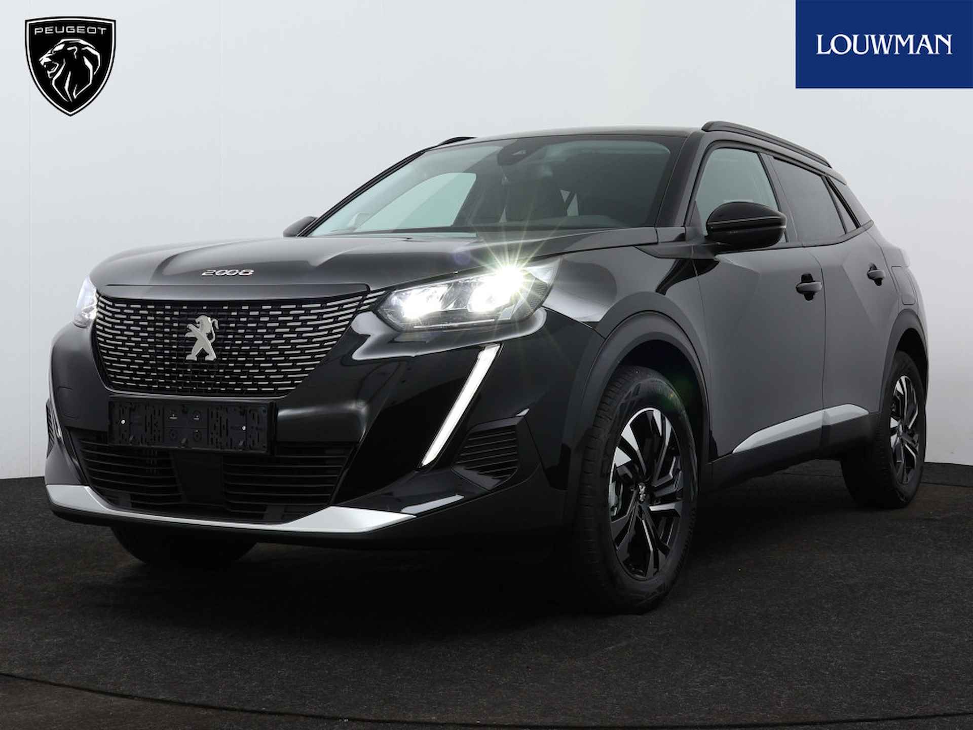 Peugeot 2008 BOVAG 40-Puntencheck