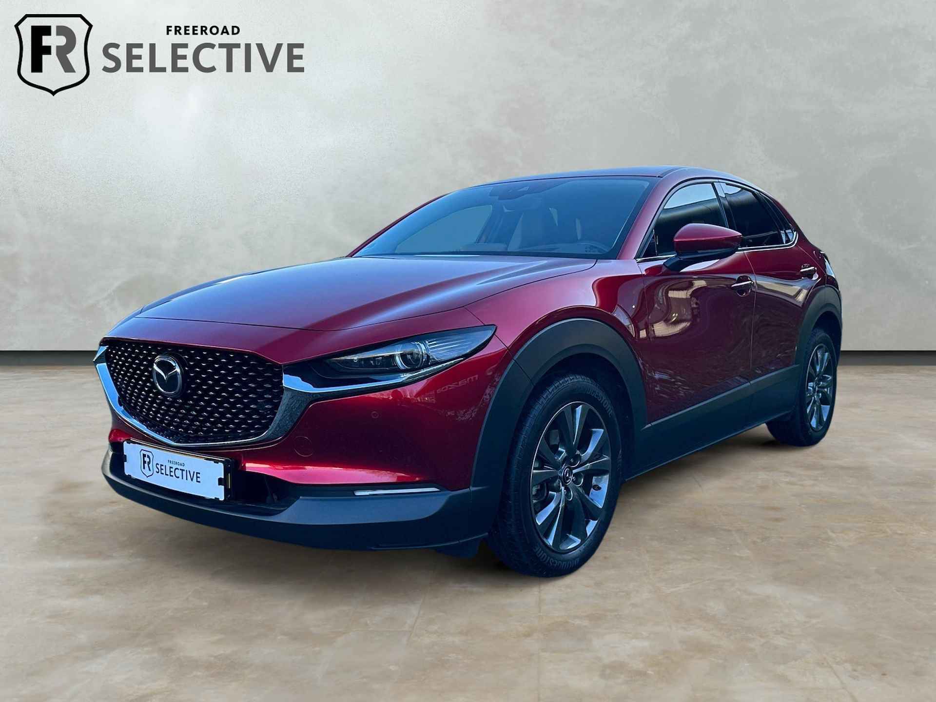 Mazda CX-30 BOVAG 40-Puntencheck