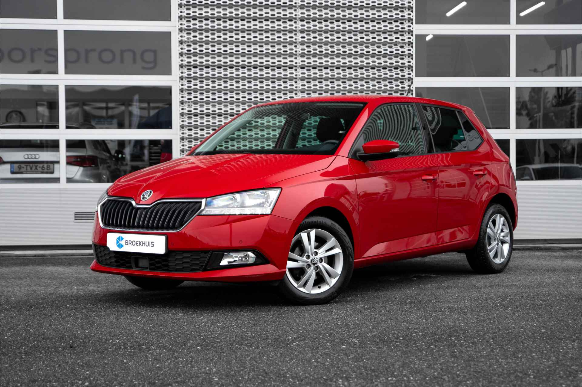 Škoda Fabia BOVAG 40-Puntencheck