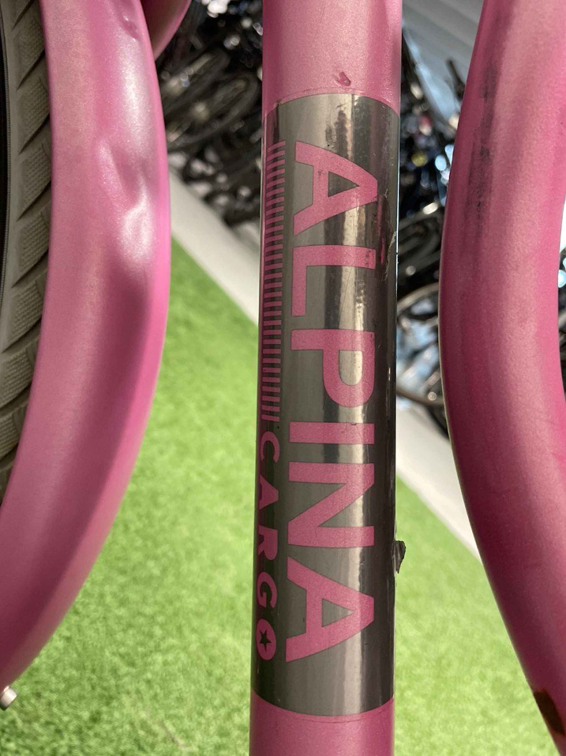 Alpina Cargo 22 inch Meisjes Fuchsia Pink 2021 - 2/4