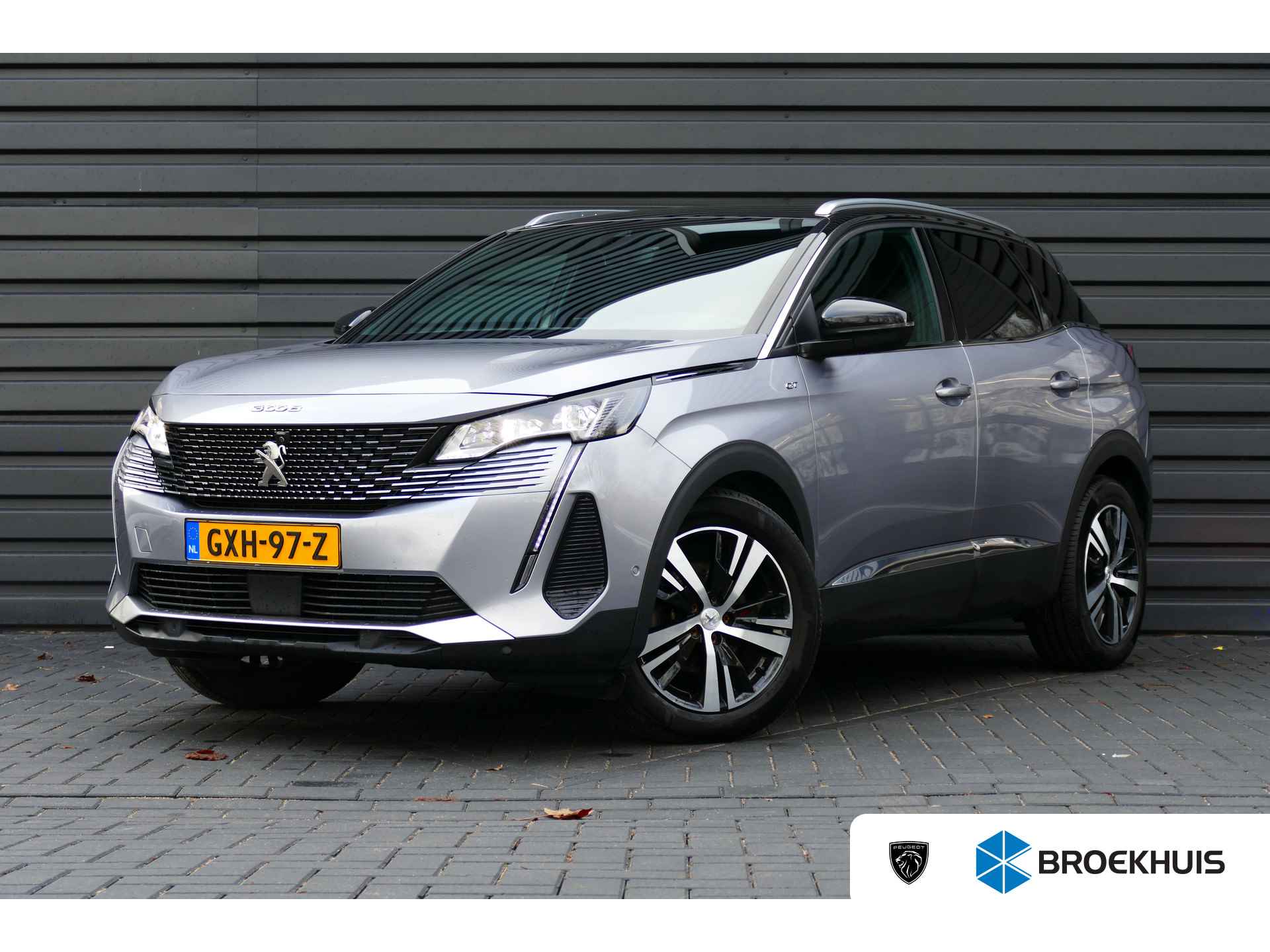 Peugeot 3008 BOVAG 40-Puntencheck