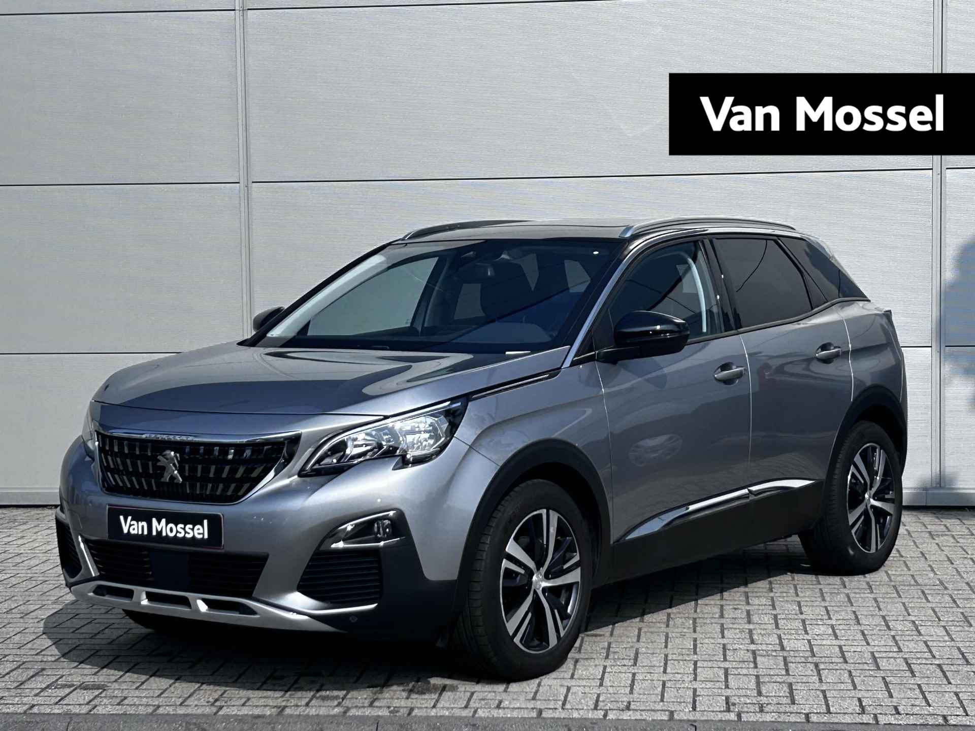 Peugeot 3008 BOVAG 40-Puntencheck