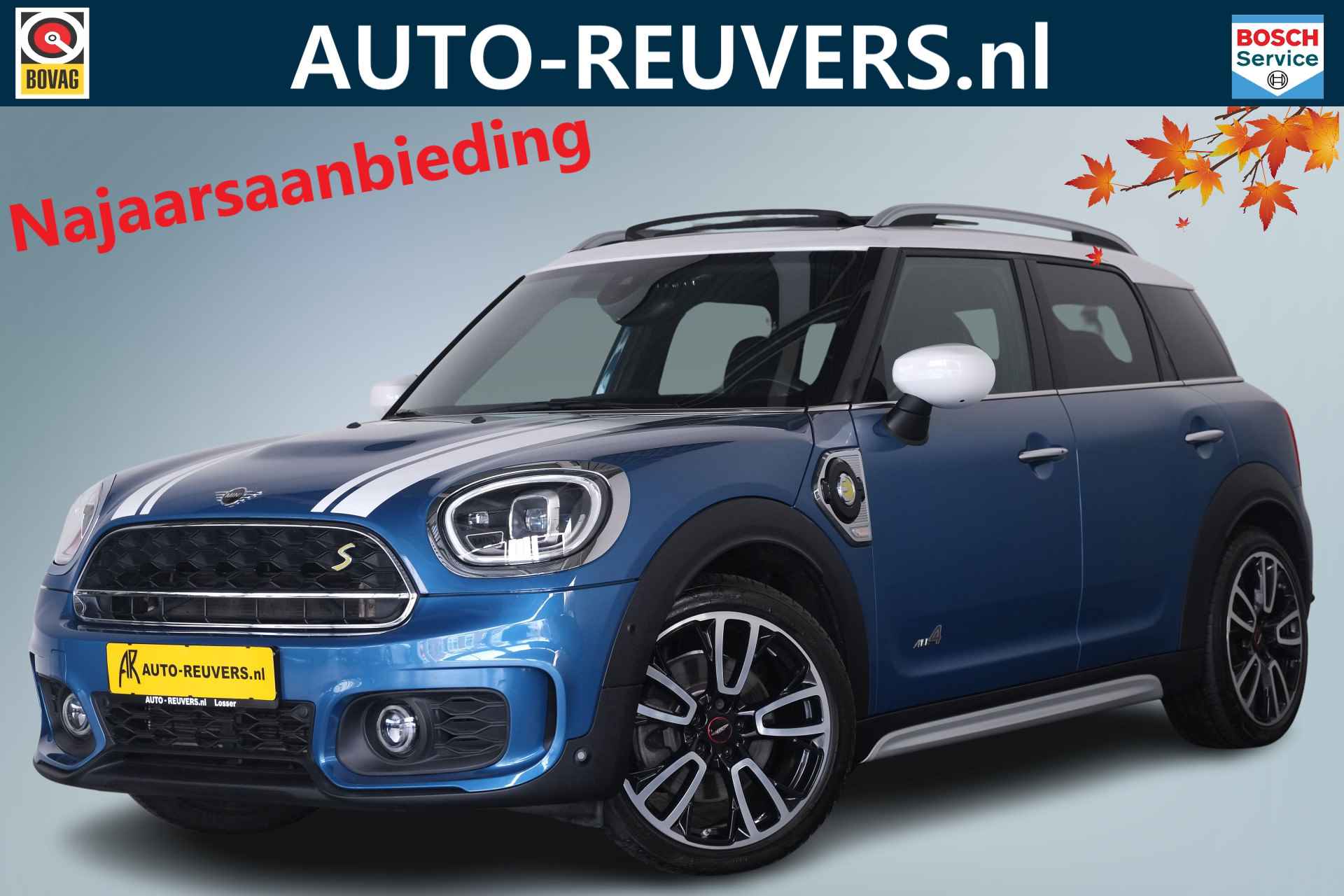 Mini Countryman BOVAG 40-Puntencheck