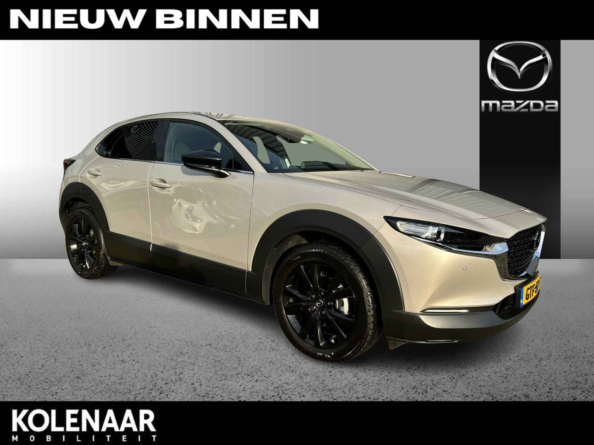 Mazda CX-30 BOVAG 40-Puntencheck