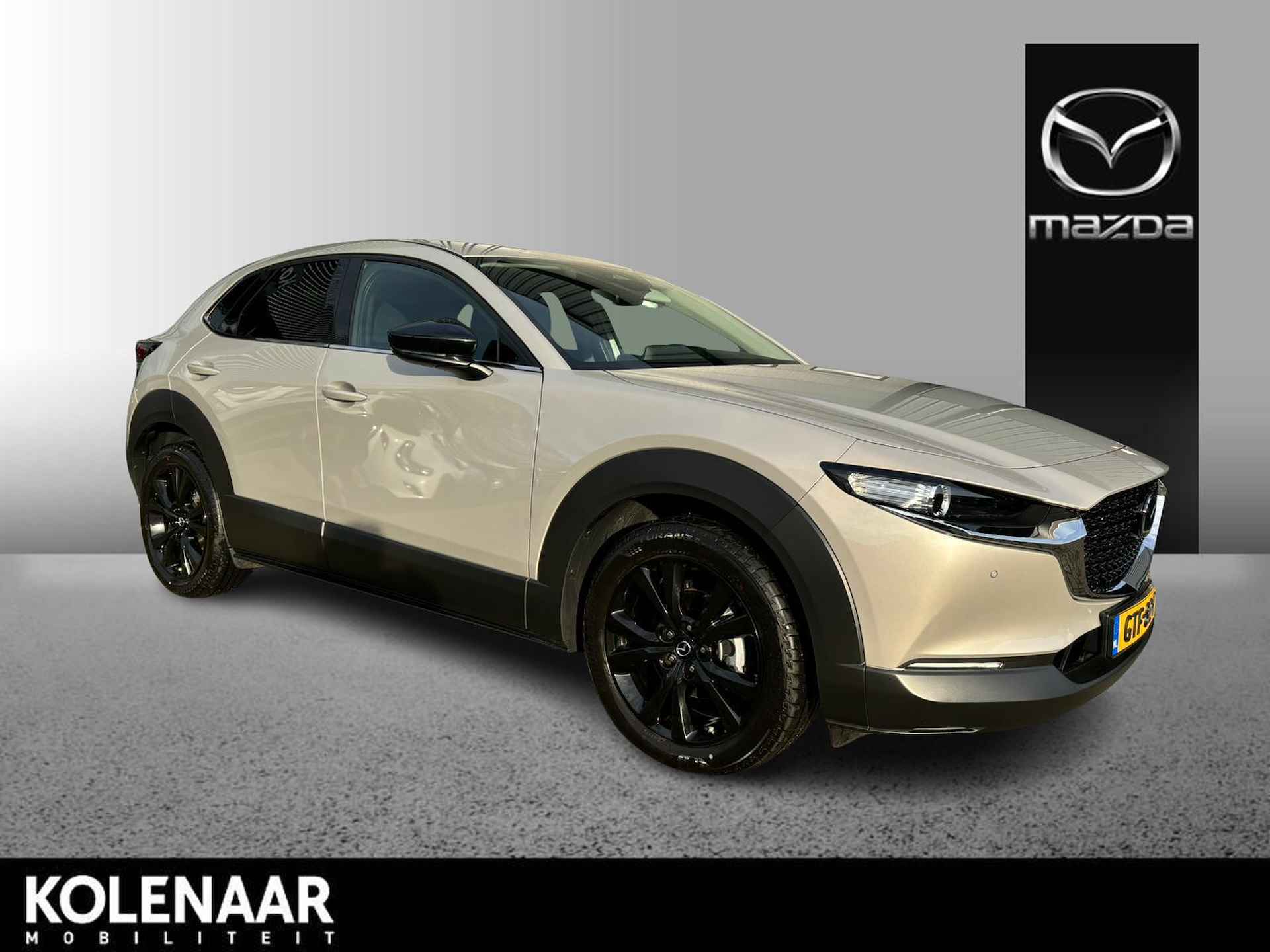 Mazda CX-30 BOVAG 40-Puntencheck