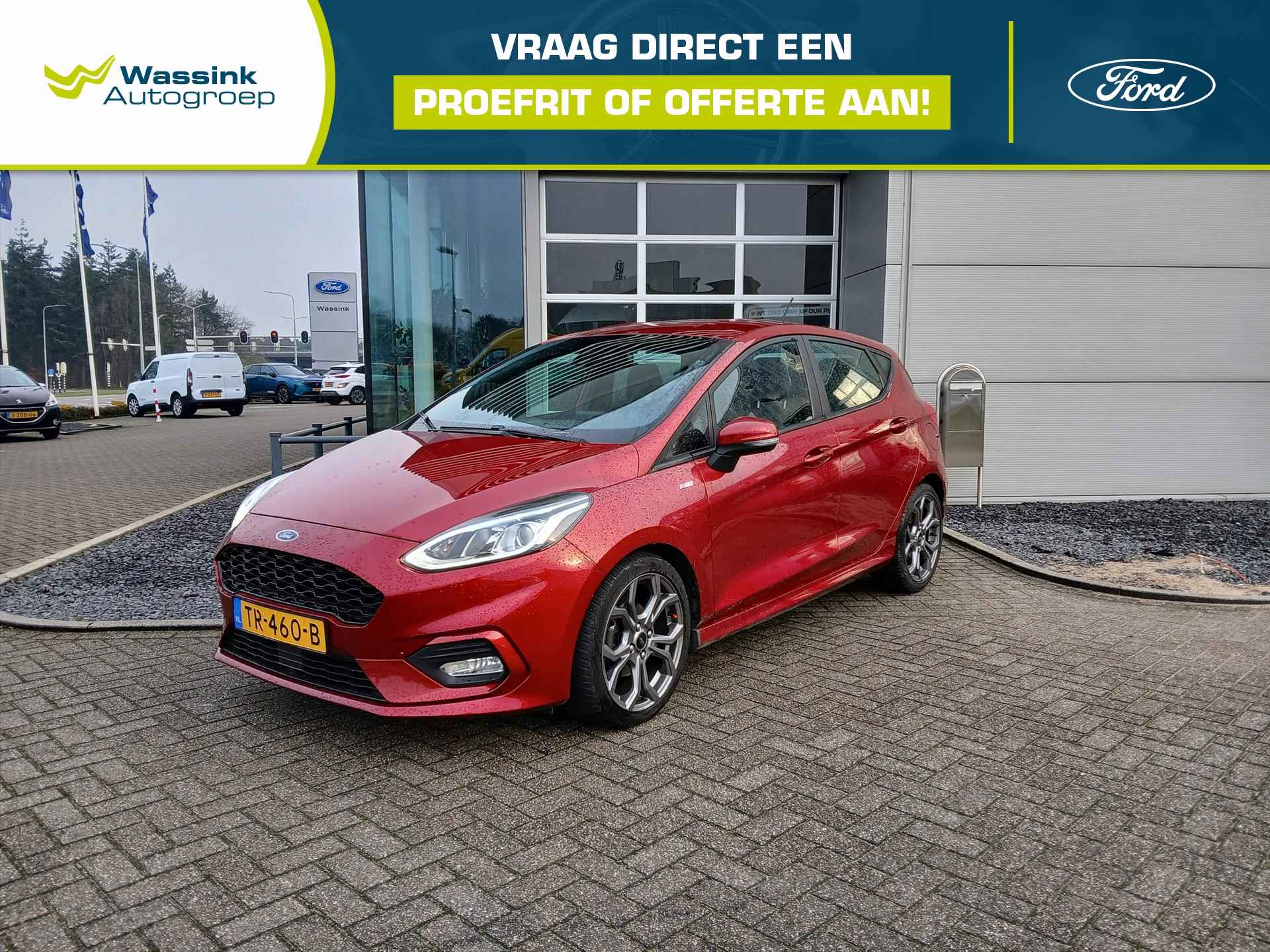 Ford Fiesta BOVAG 40-Puntencheck