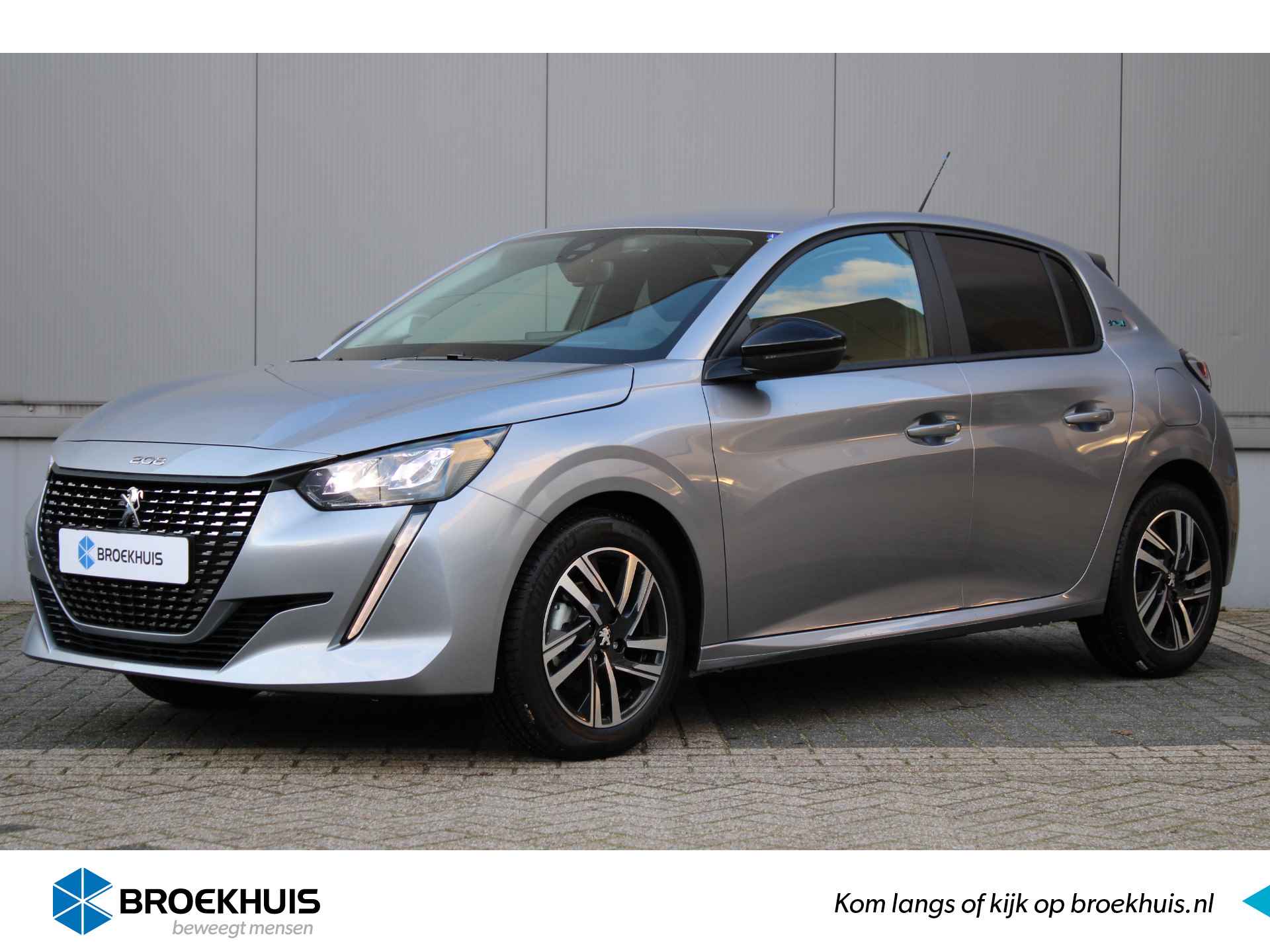 Peugeot 208 BOVAG 40-Puntencheck