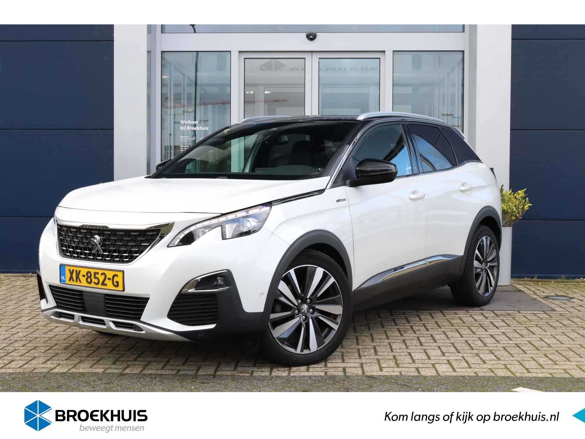 Peugeot 3008 BOVAG 40-Puntencheck