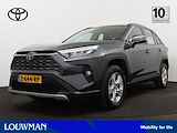 Toyota RAV4 2.5 Hybrid AWD Business Limited | Navigatie |