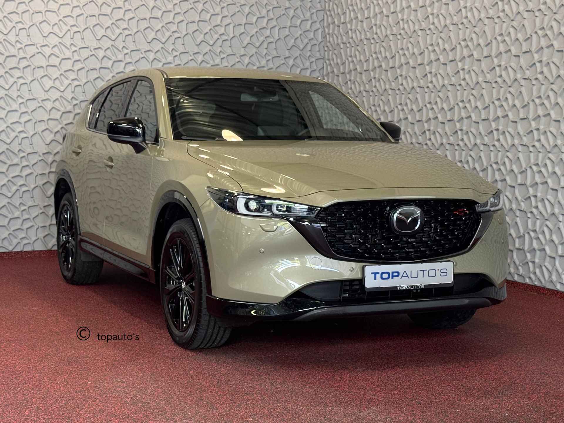 Mazda CX-5 BOVAG 40-Puntencheck