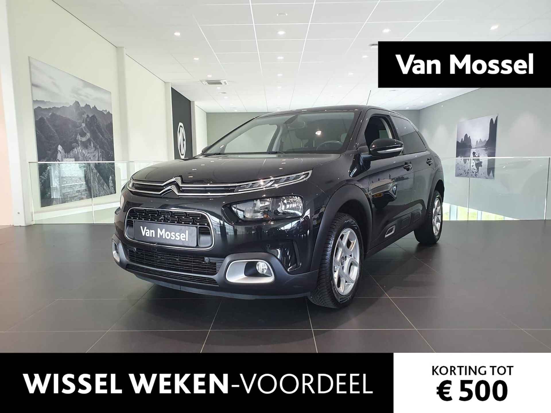 Citroën C4 Cactus BOVAG 40-Puntencheck