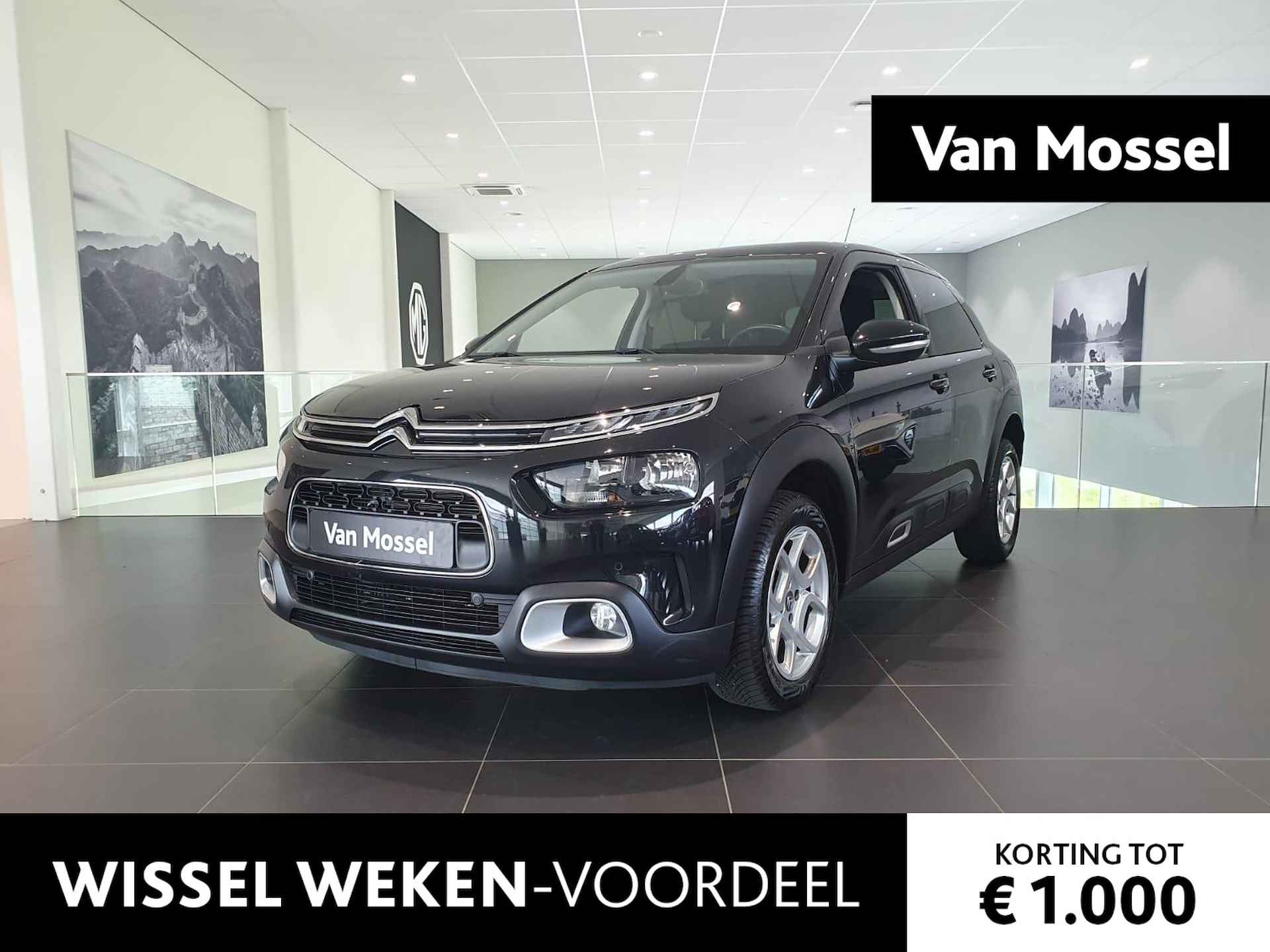 Citroën C4 Cactus BOVAG 40-Puntencheck