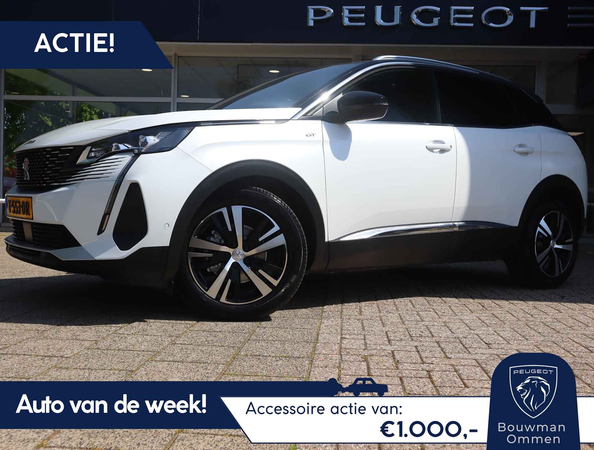 Peugeot 3008 BOVAG 40-Puntencheck