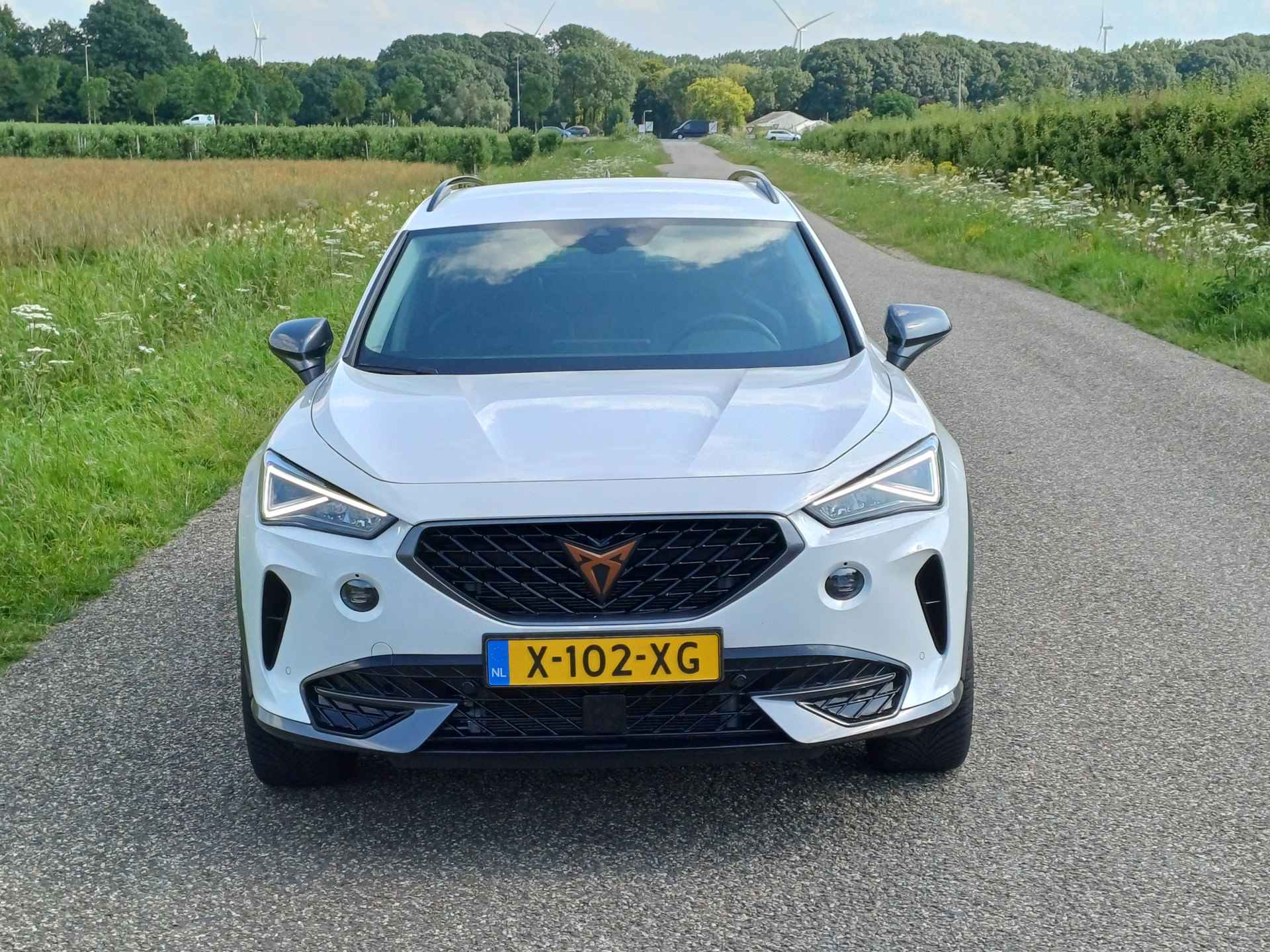 CUPRA Formentor 1.5 TSI Business Edition /LED/Cruise/Navi/Stuurverw./Digi Dash/Park. v+a/ - 5/50