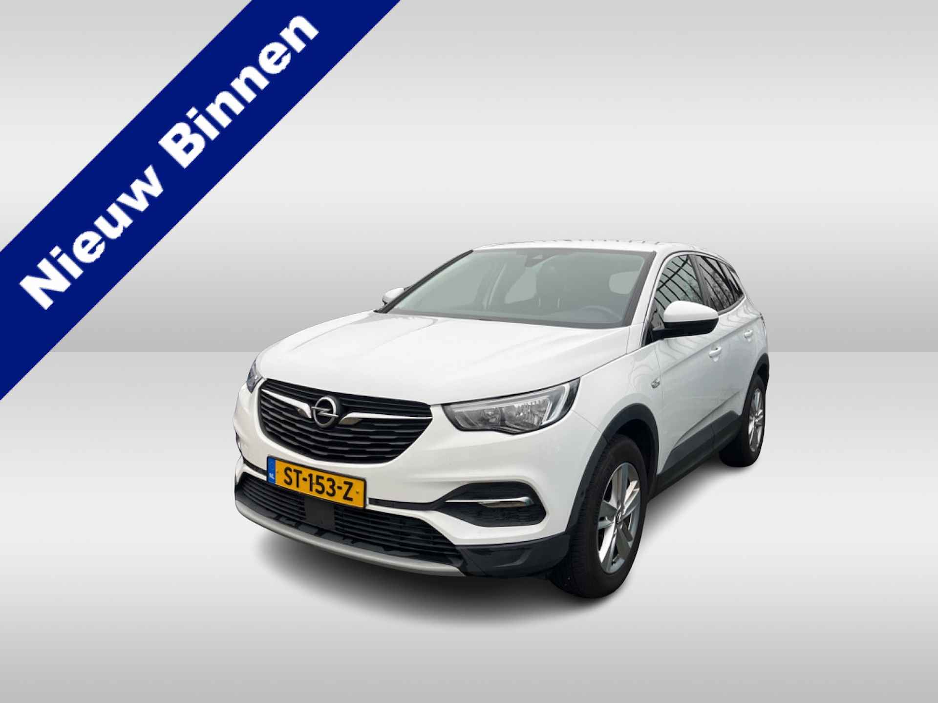 Opel Grandland X BOVAG 40-Puntencheck