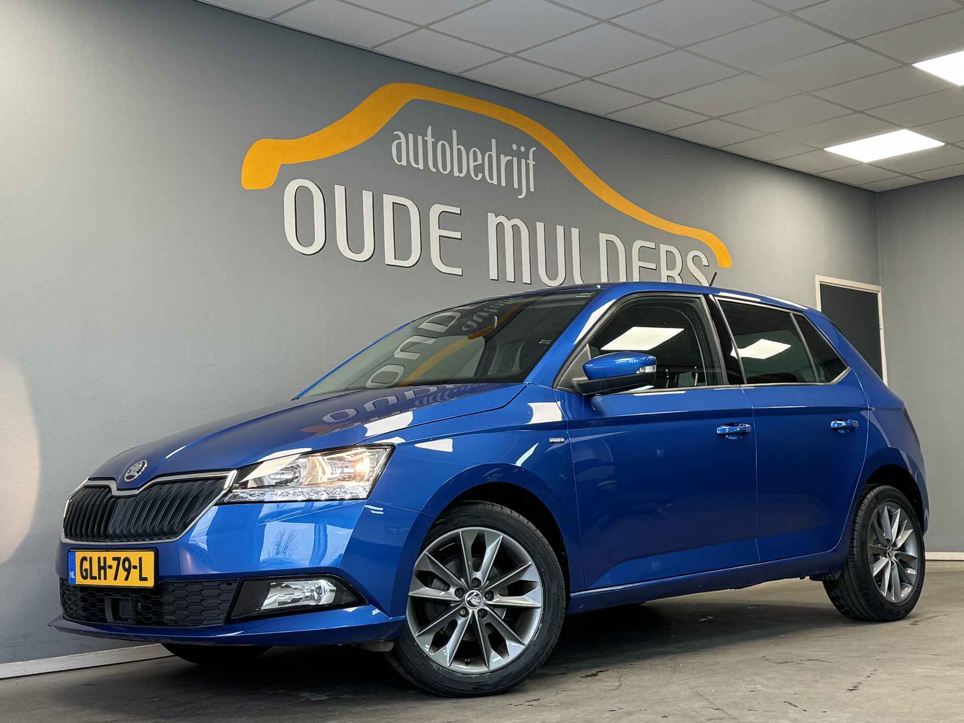 Škoda Fabia BOVAG 40-Puntencheck