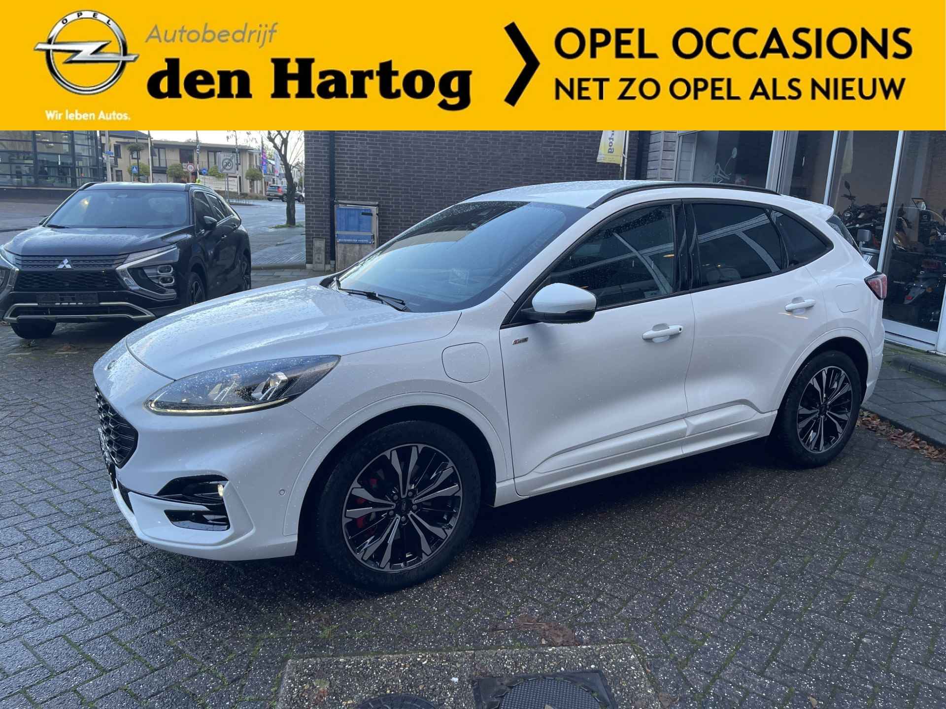 Ford Kuga BOVAG 40-Puntencheck