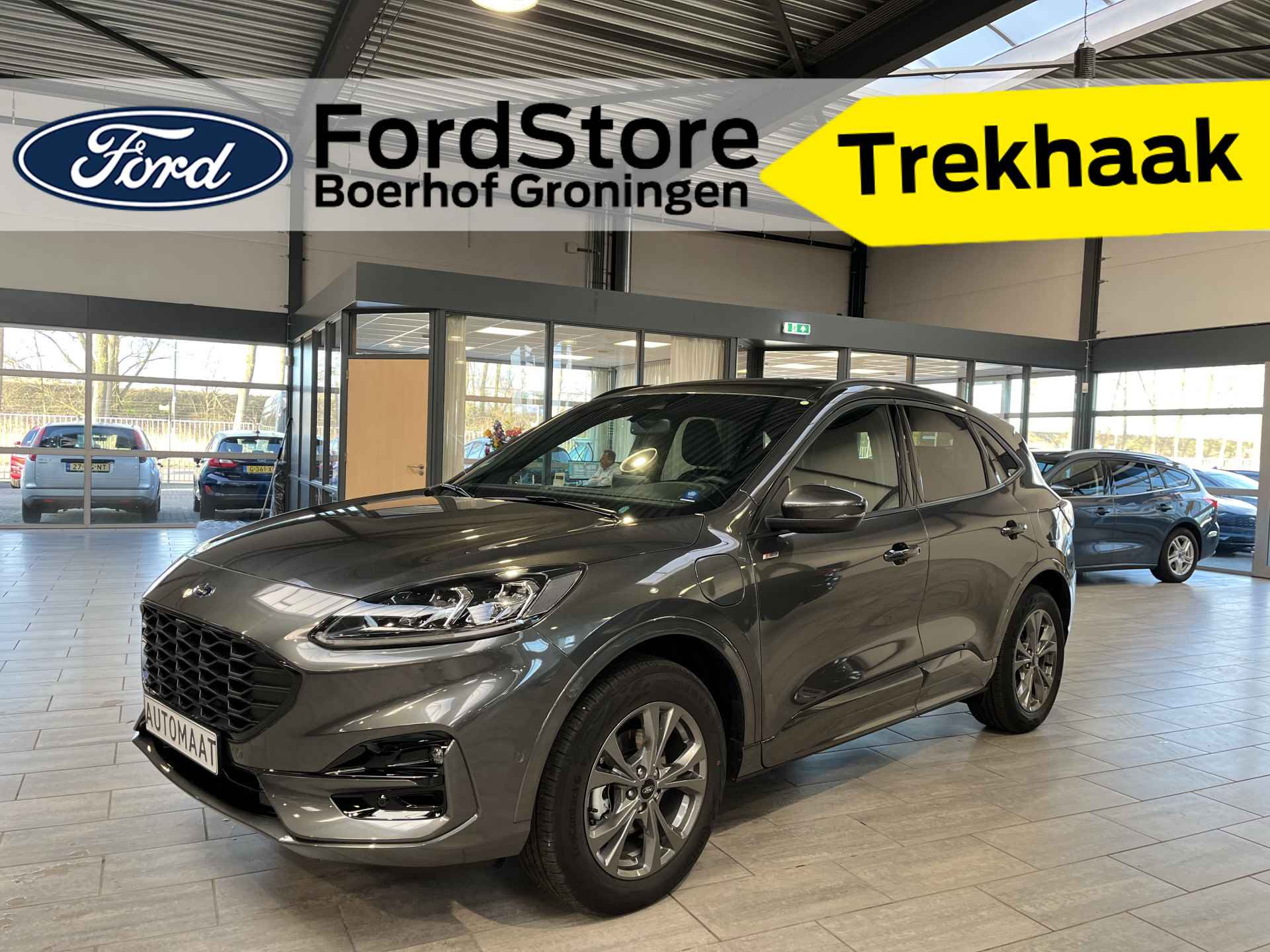 Ford Kuga BOVAG 40-Puntencheck