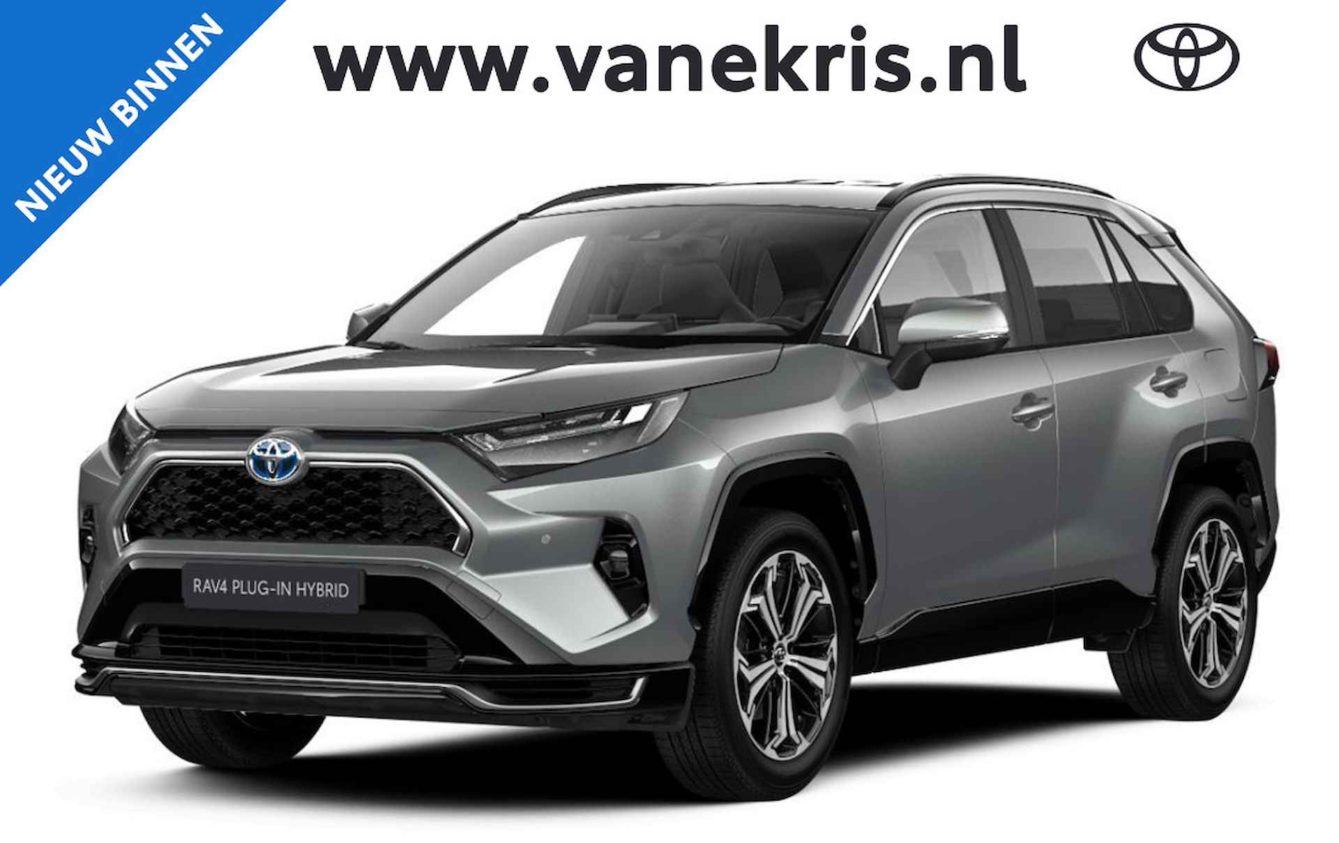 Toyota RAV4 BOVAG 40-Puntencheck