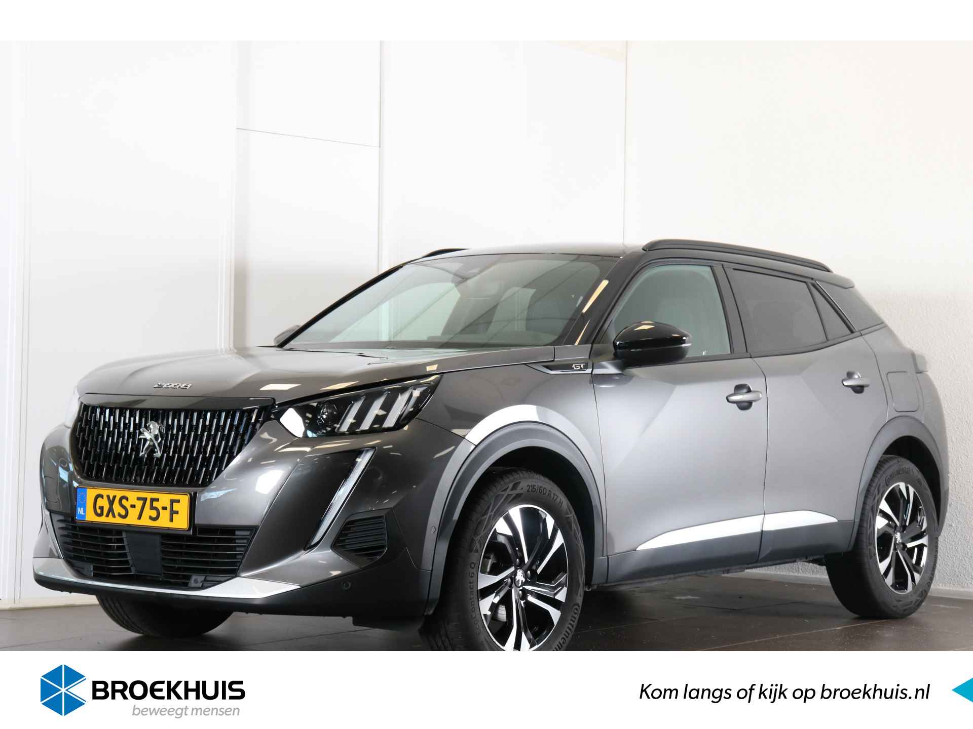 Peugeot 2008 BOVAG 40-Puntencheck