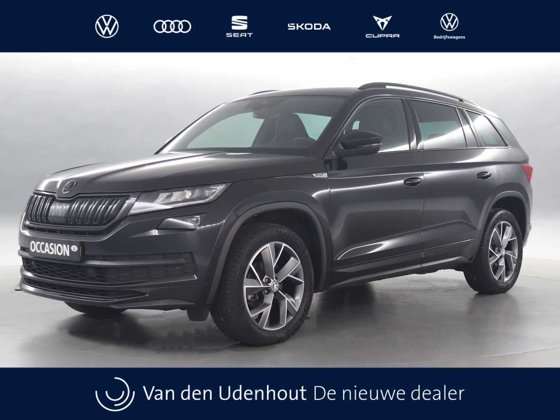 Škoda Kodiaq BOVAG 40-Puntencheck