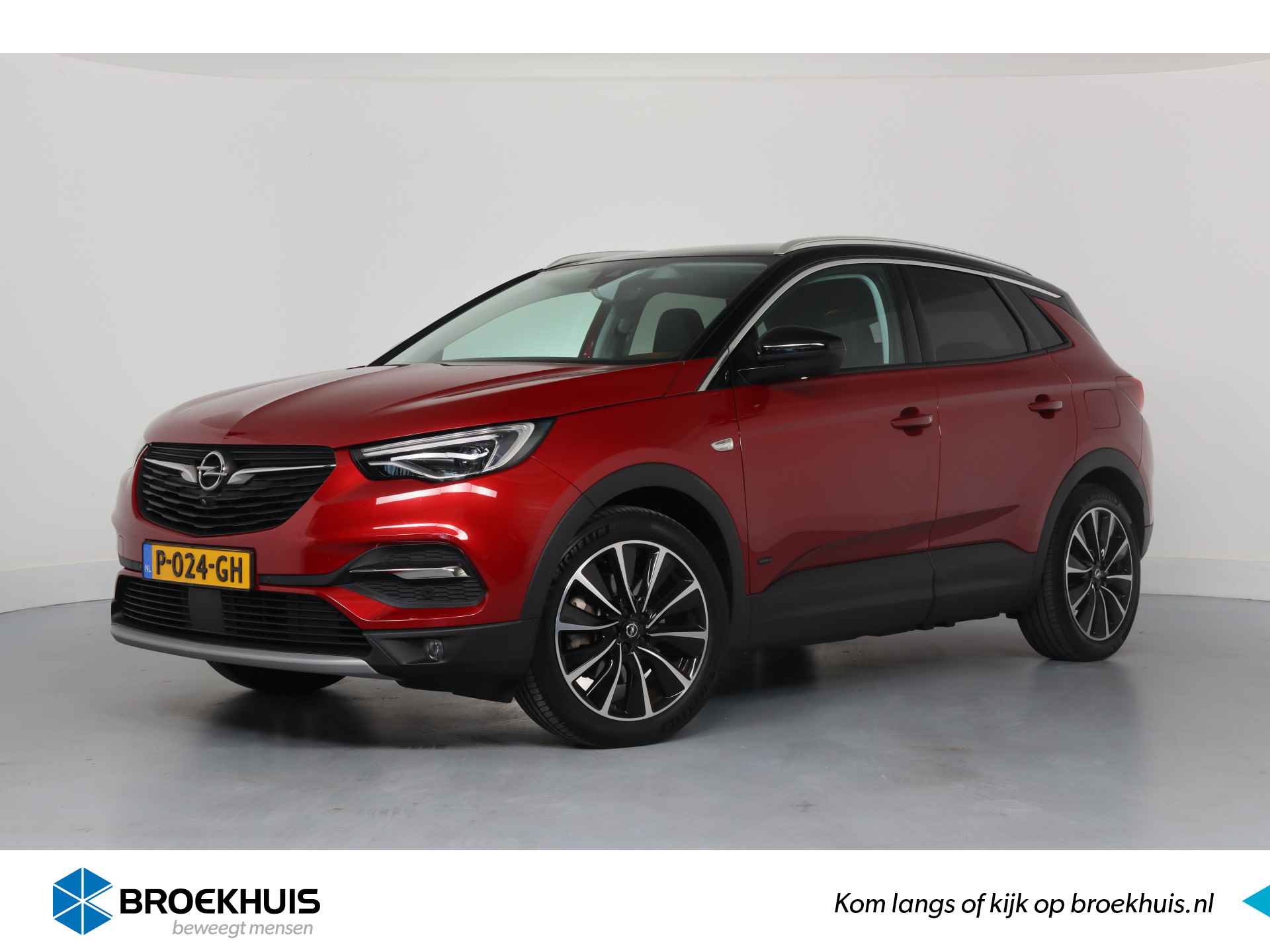 Opel Grandland X BOVAG 40-Puntencheck