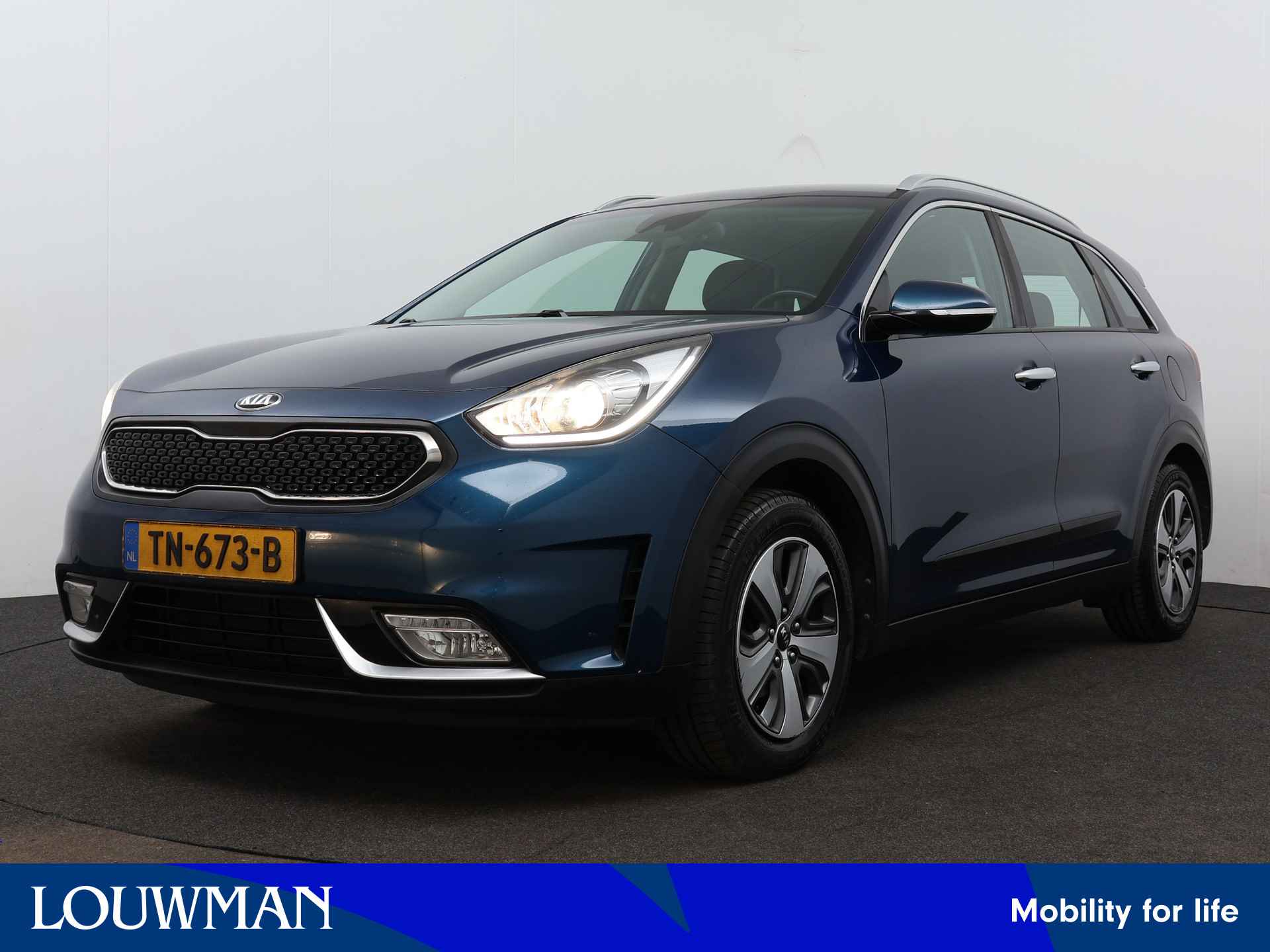 Kia Niro BOVAG 40-Puntencheck