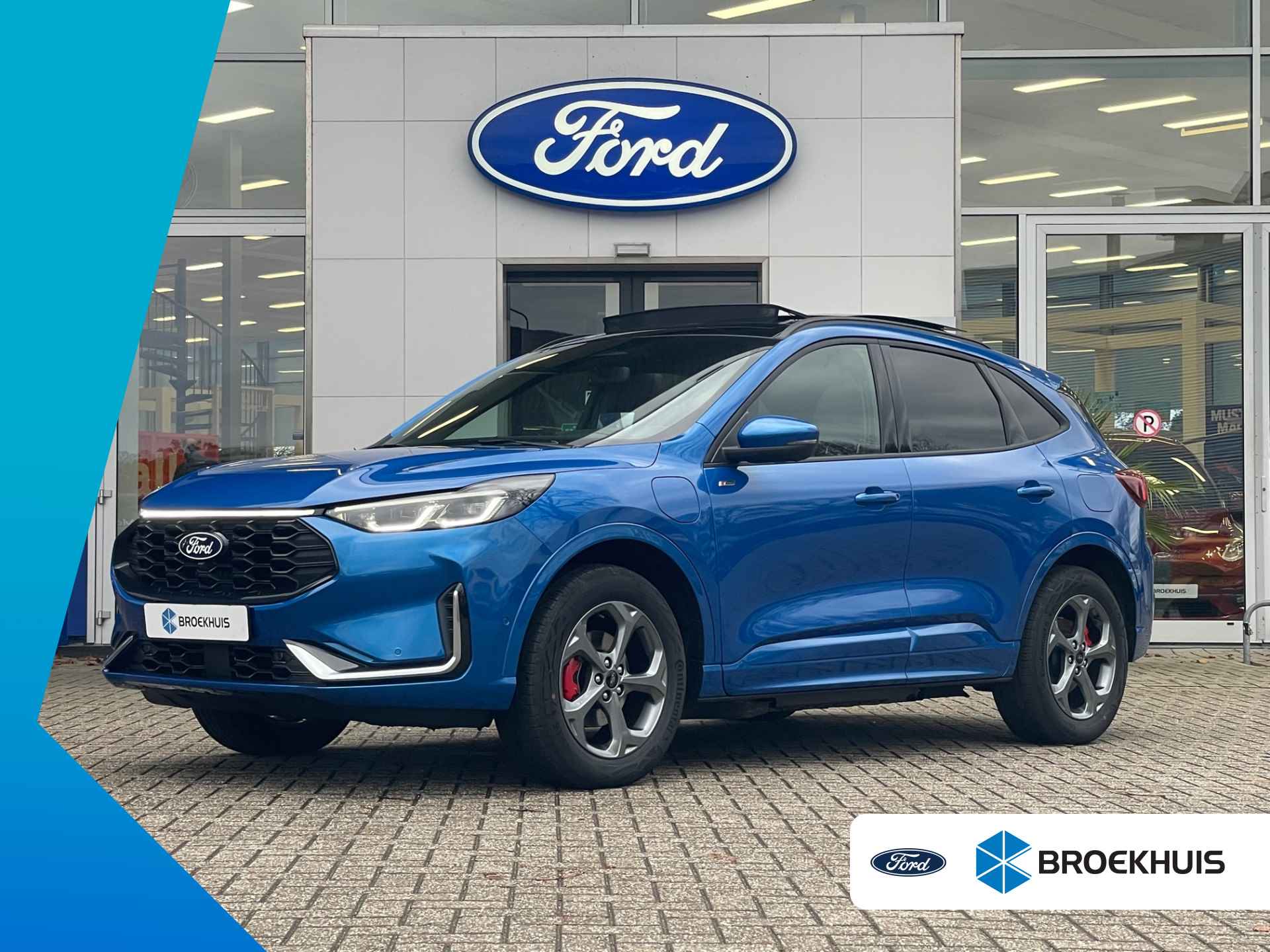 Ford Kuga BOVAG 40-Puntencheck