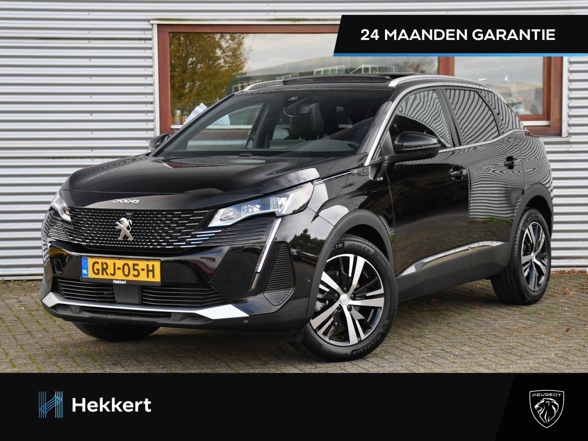 Peugeot 3008 BOVAG 40-Puntencheck