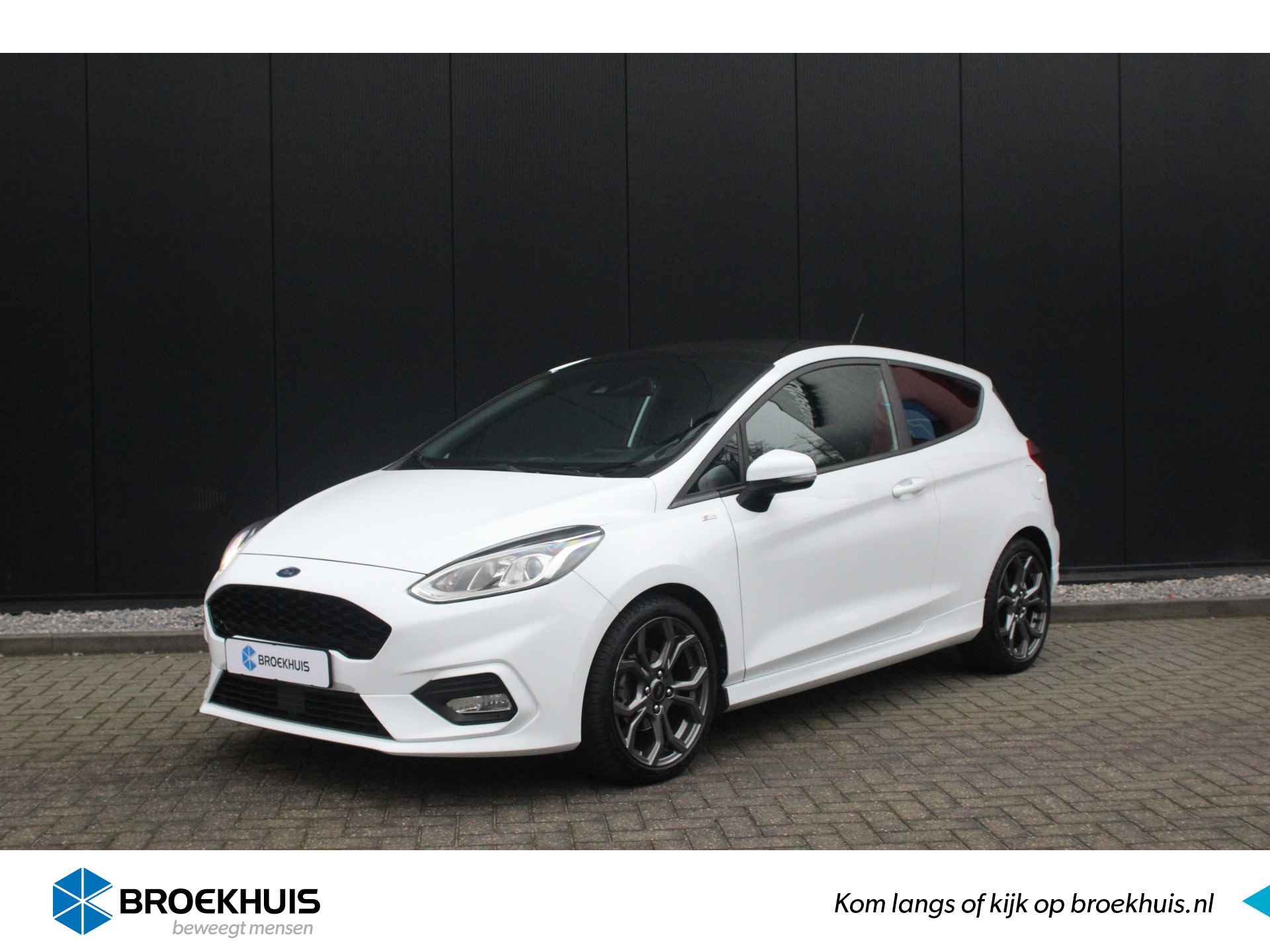 Ford Fiesta BOVAG 40-Puntencheck