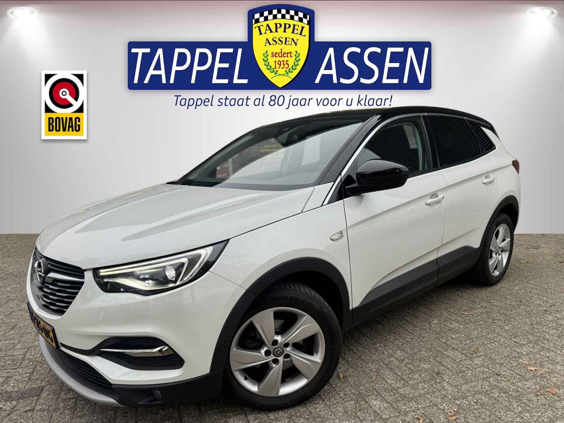 Opel Grandland X BOVAG 40-Puntencheck