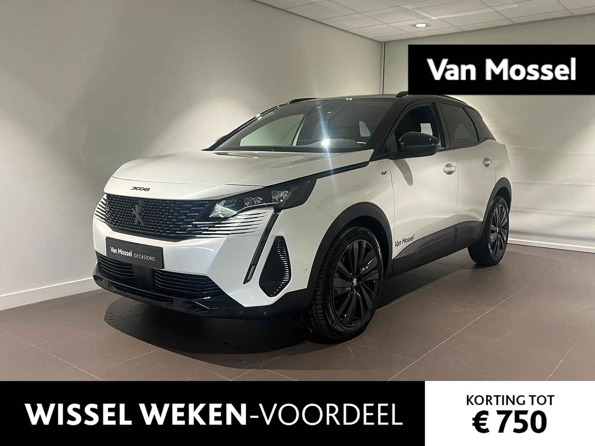 Peugeot 3008 BOVAG 40-Puntencheck