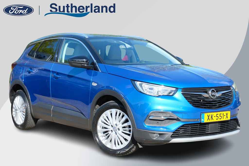 Opel Grandland X BOVAG 40-Puntencheck