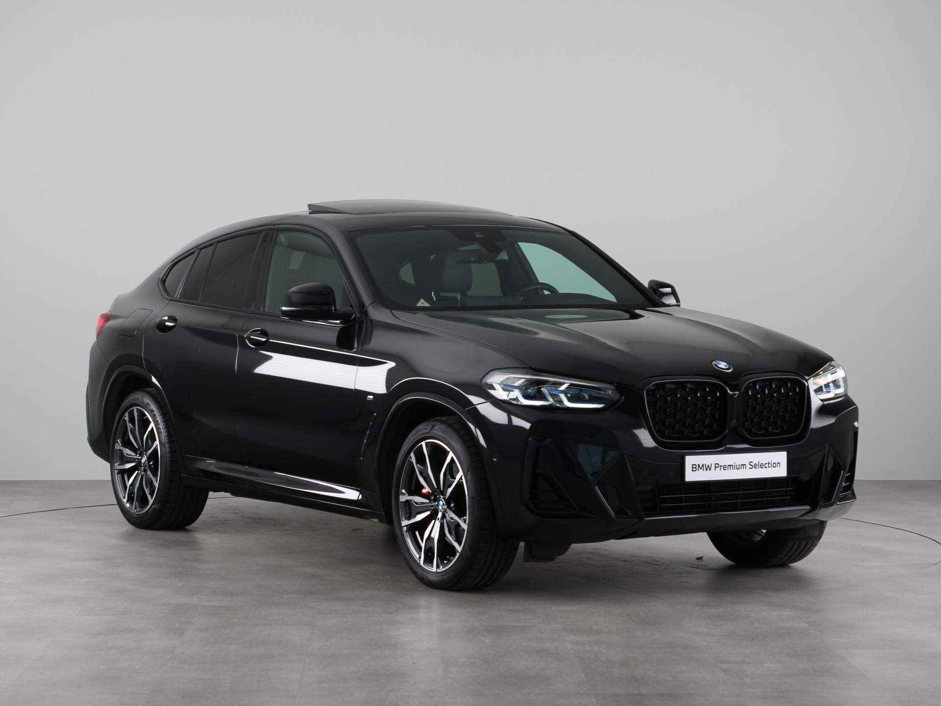 BMW X4 xDrive20i Business Edition Plus - 8/25