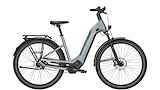 PEGASUS ESTREMO EVO 12 Lite Lage instap Holographic Grey 28 Inch 55cm 2024