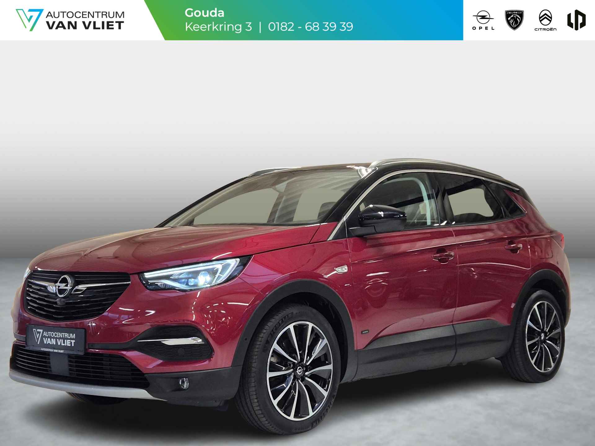 Opel Grandland X BOVAG 40-Puntencheck